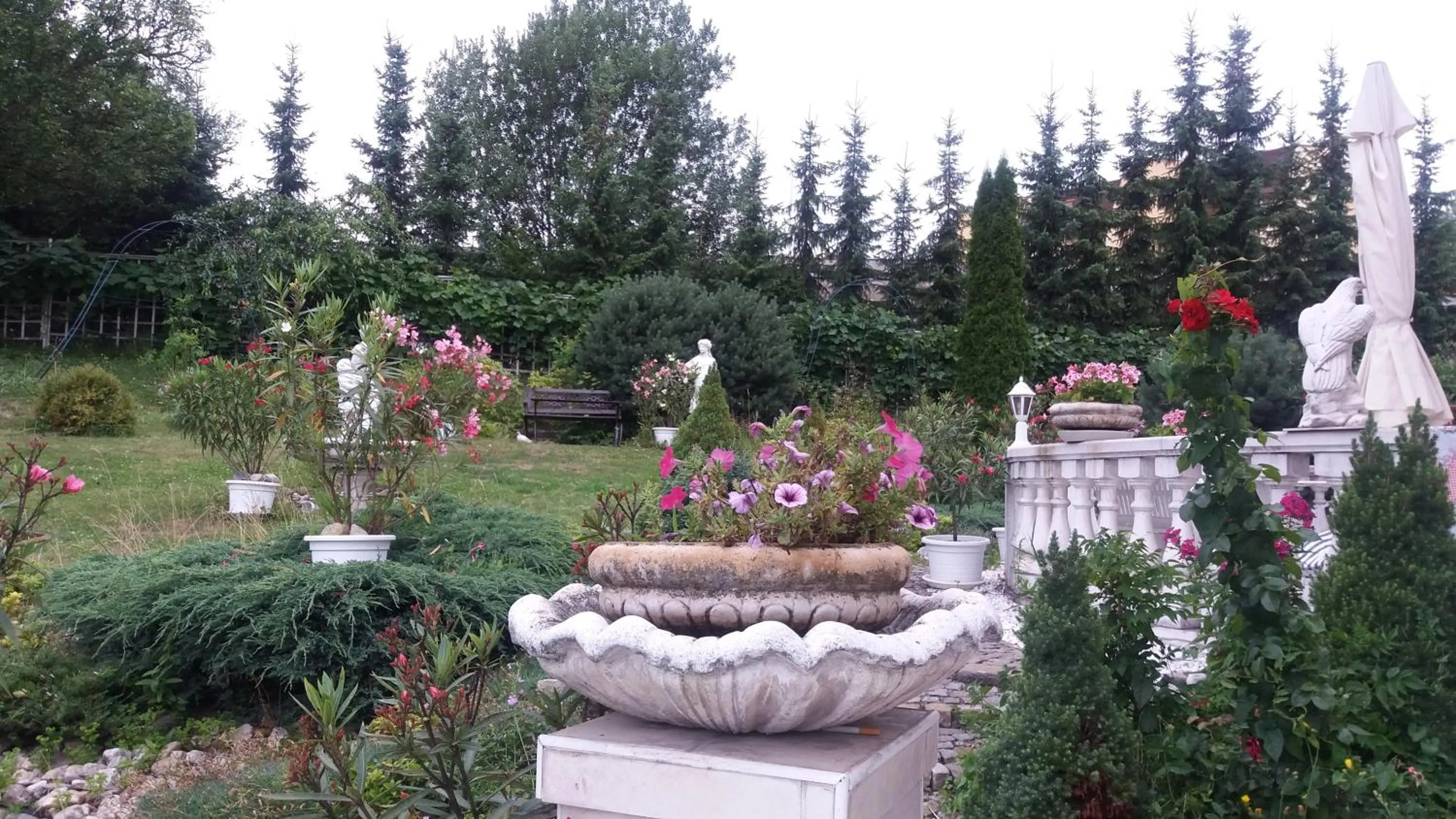 Garden in Hotel Garni