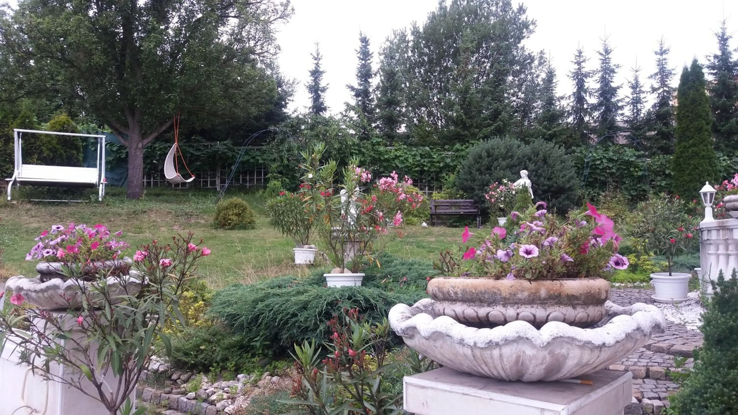 Garden in Hotel Garni