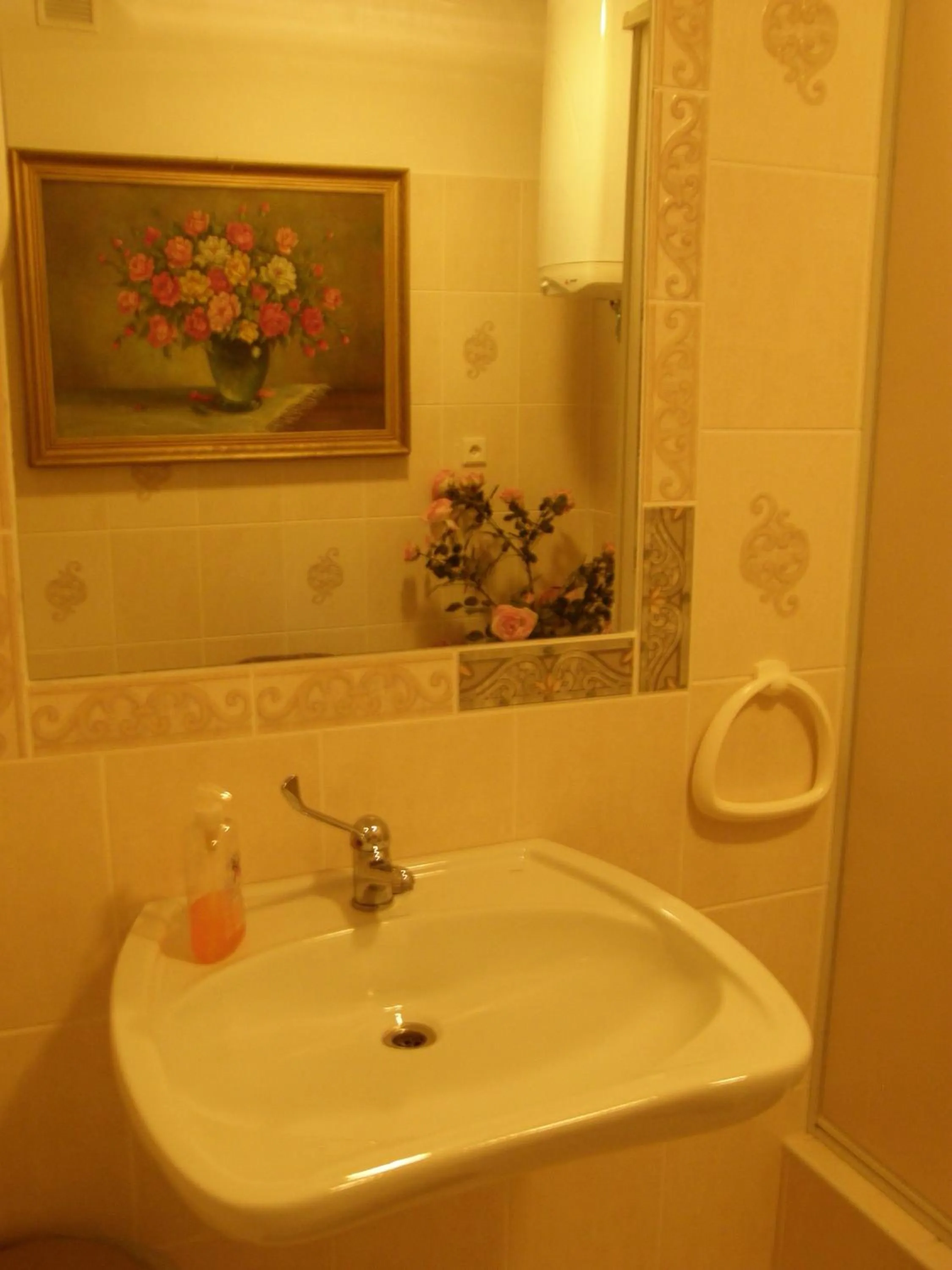 Bathroom in Hotel Garni