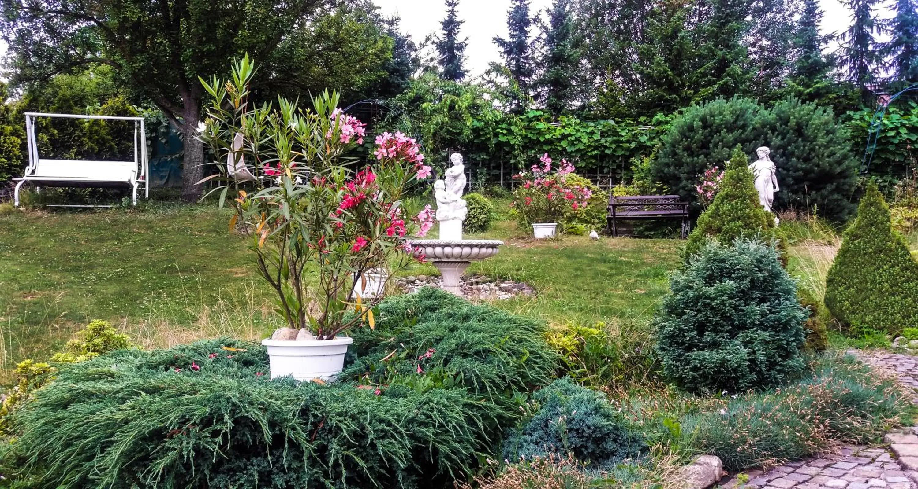Garden in Hotel Garni