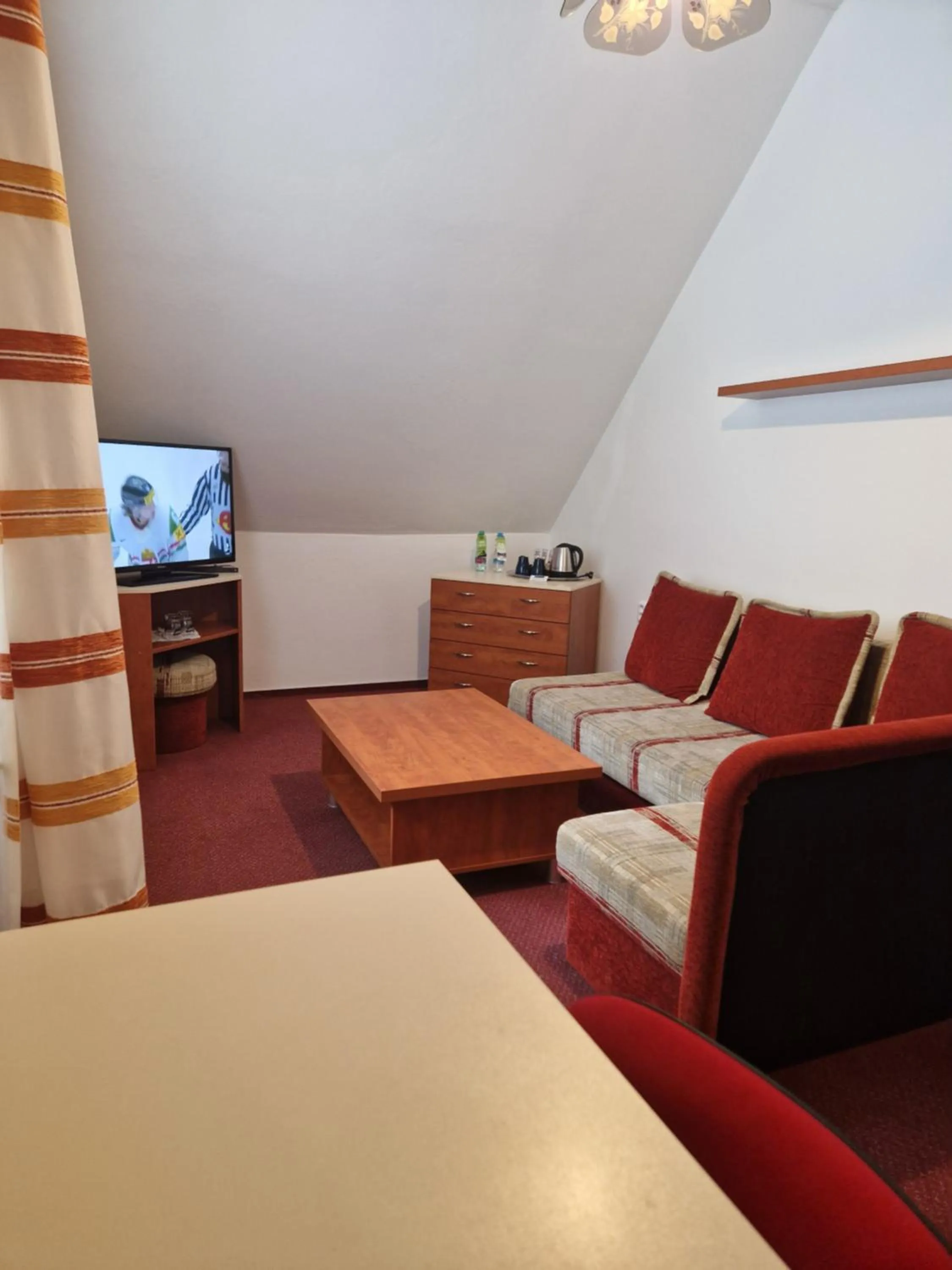 TV and multimedia in Hotel Skicentrum