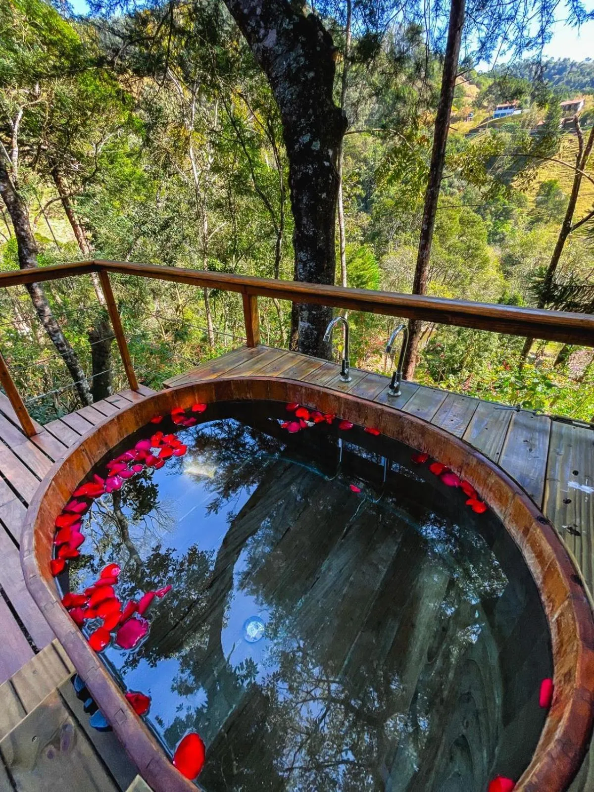 Pousada Solar D'Araucaria