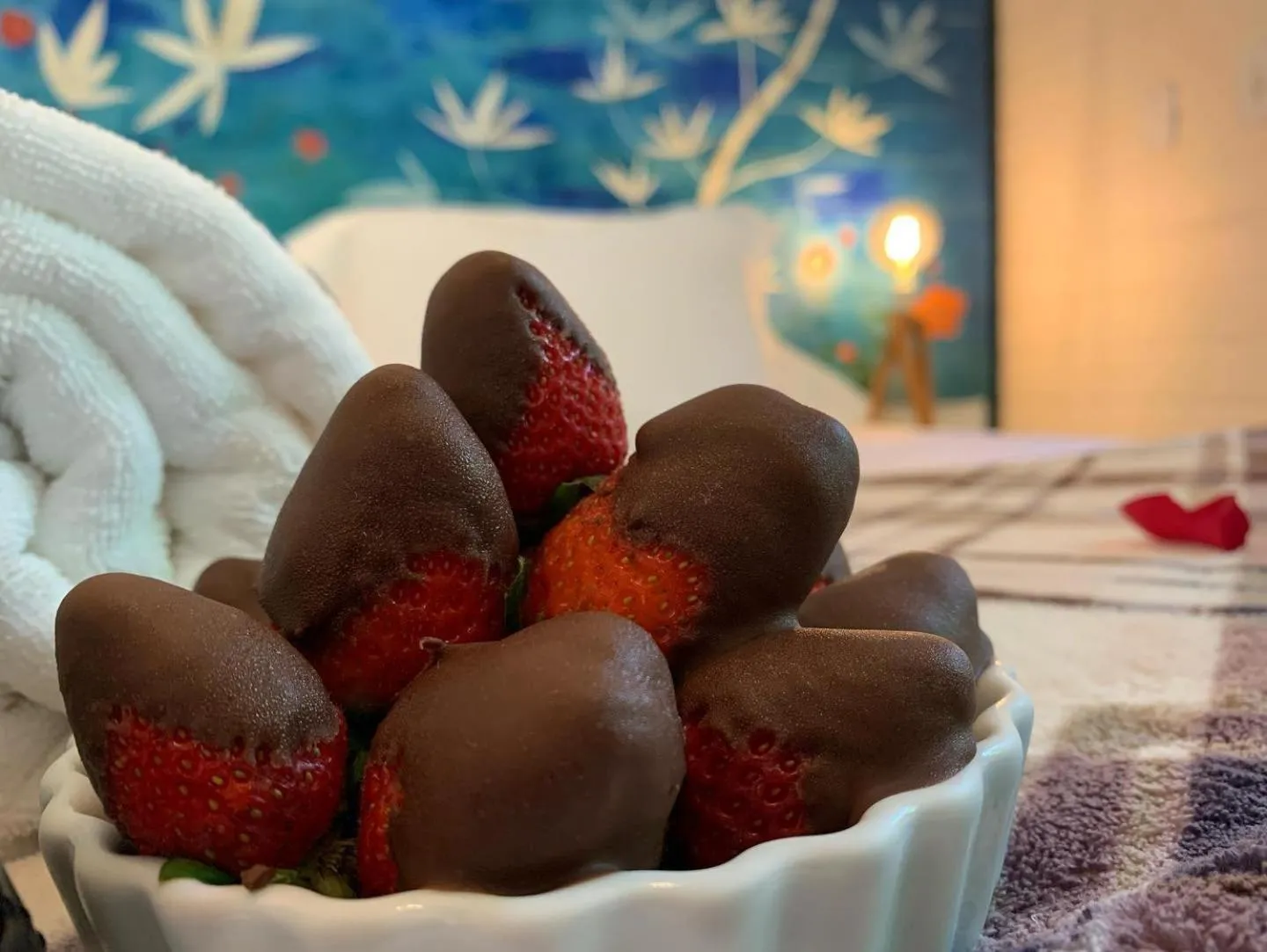 Pousada Solar D'Araucaria