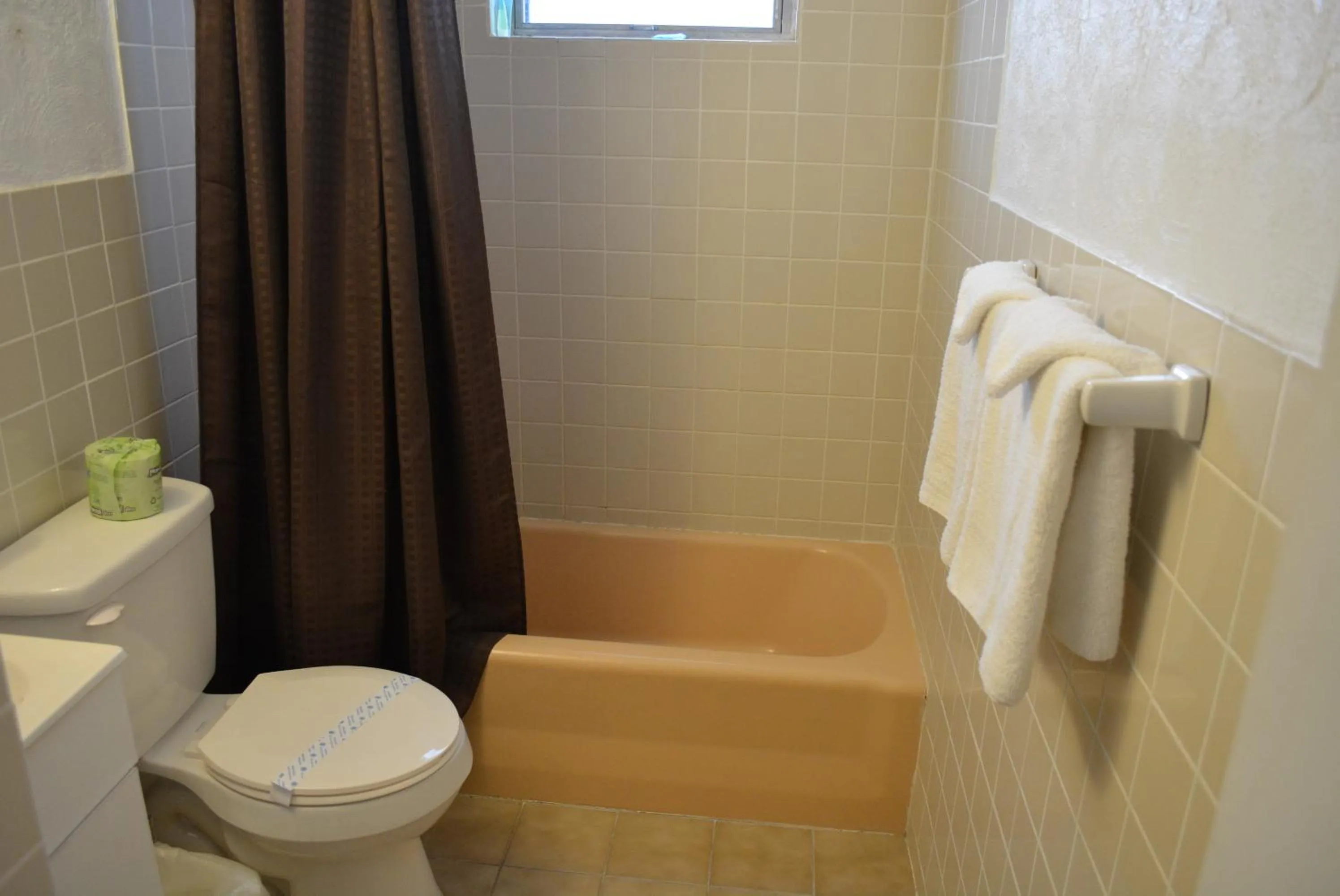 Toilet in Royal Court Motel