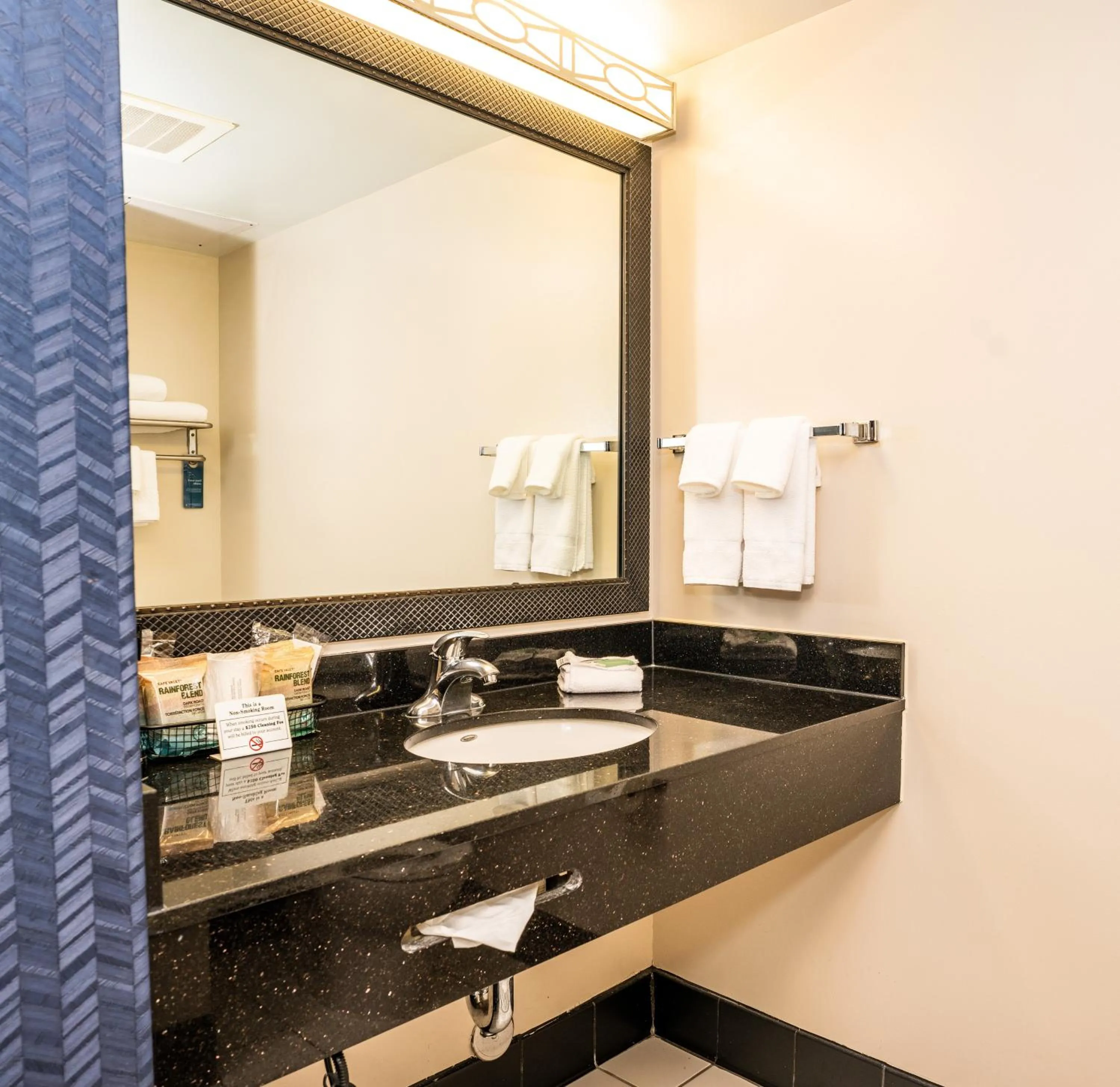 Bathroom in Fairfield by Marriott San Antonio Alamo Plaza Convention Center