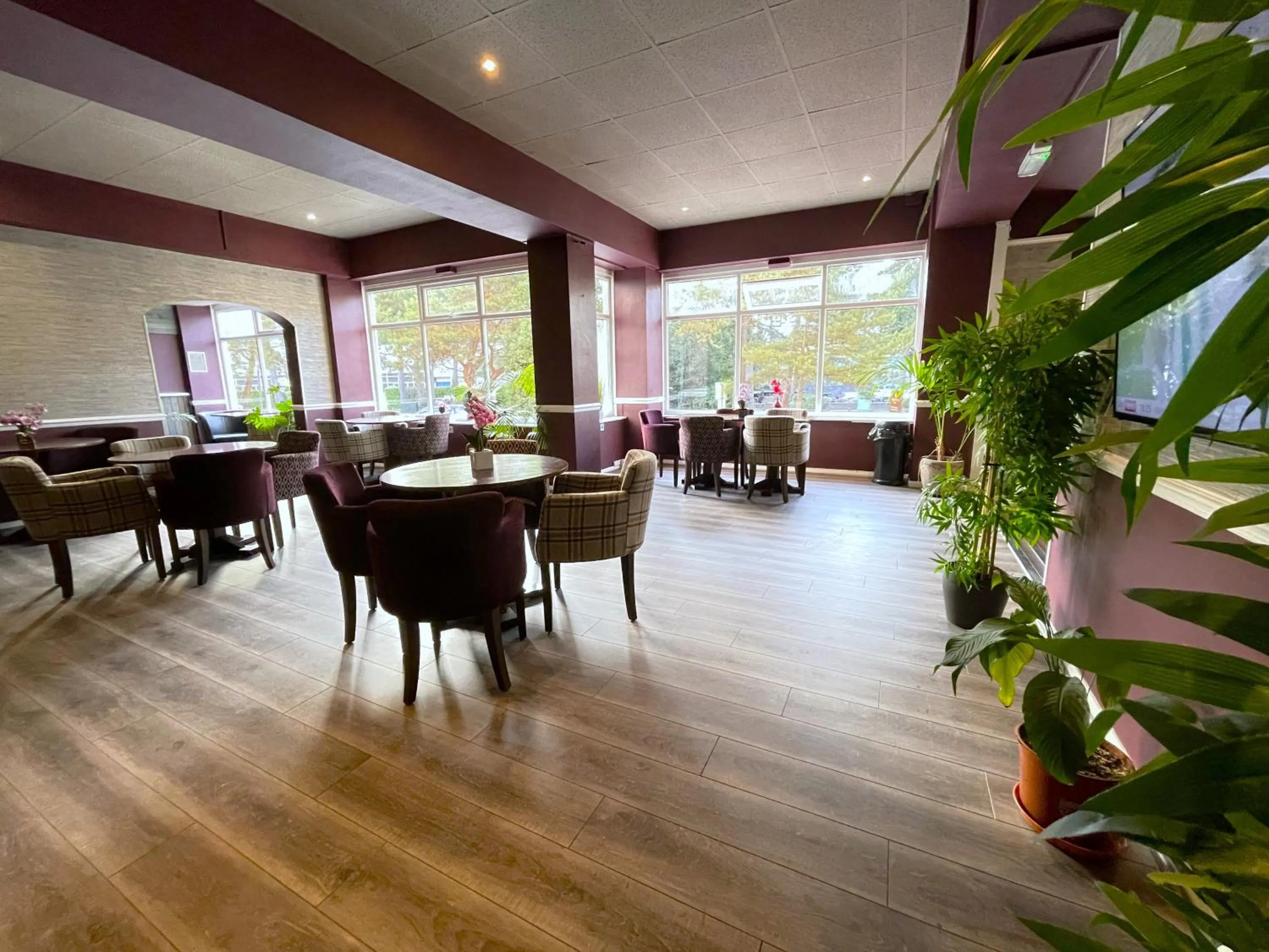 Lounge or bar, Restaurant/Places to Eat in Piccadilly Hotel
