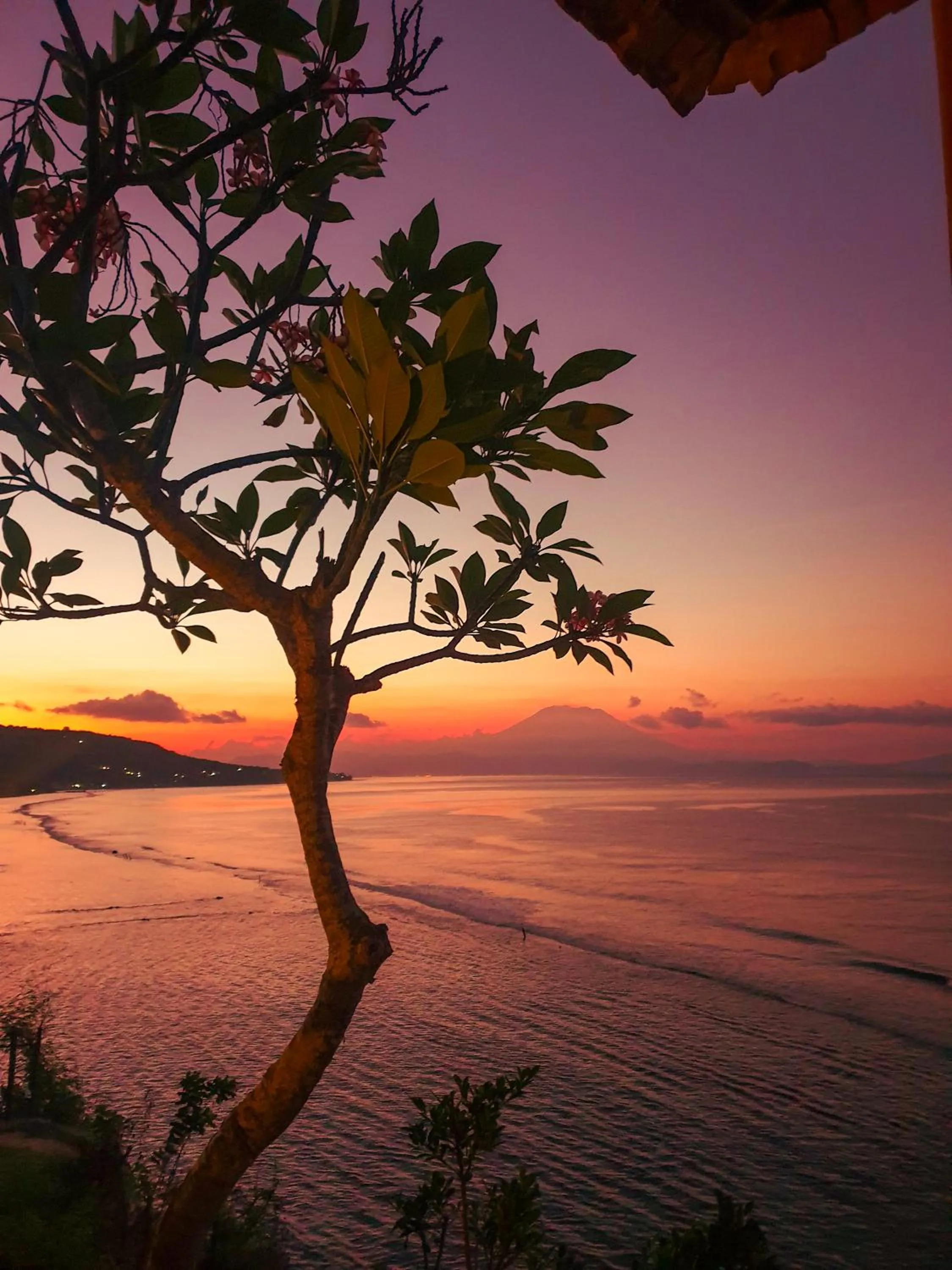 Natural landscape in Malibu Huts