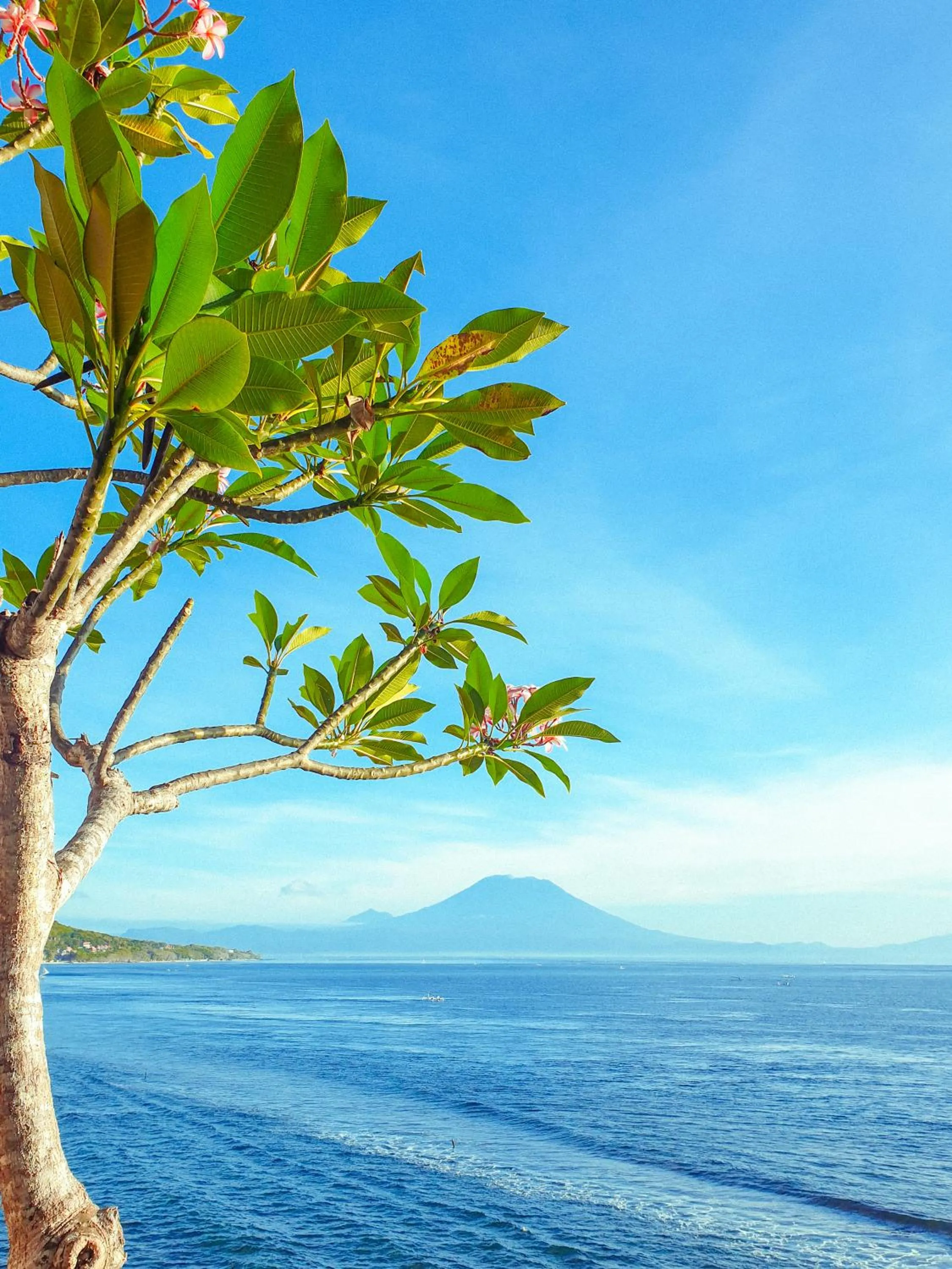 Natural landscape in Malibu Huts