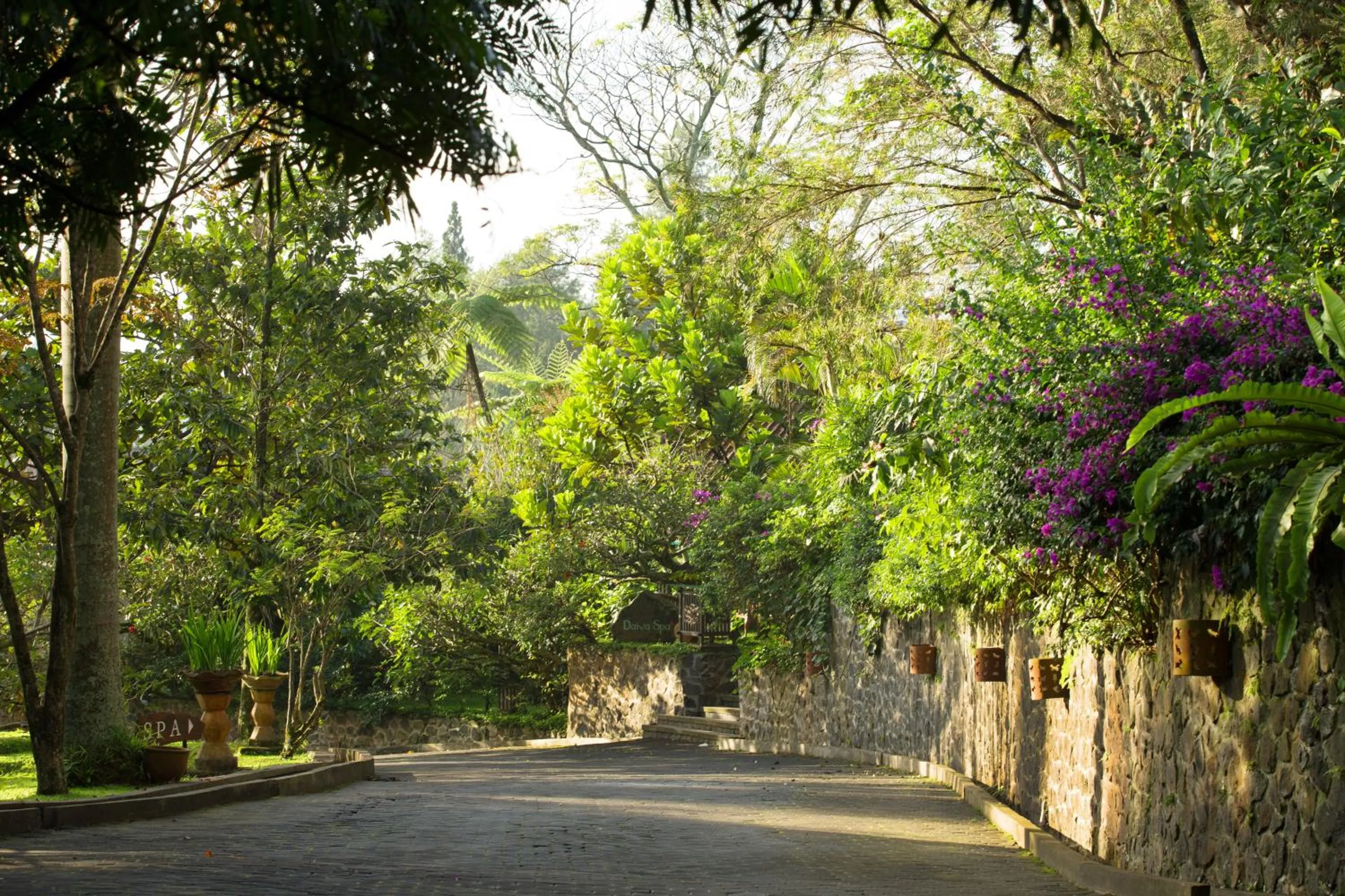 Area and facilities in Novus Giri Resort & Spa