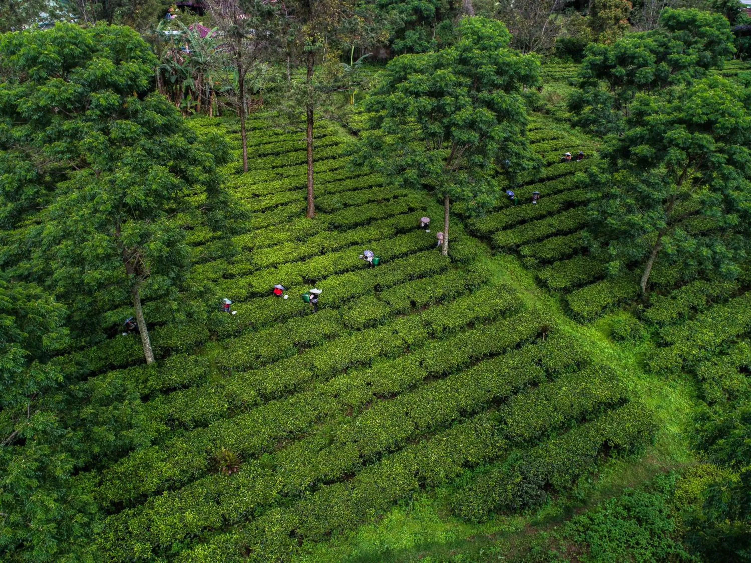 Other in Novus Giri Resort & Spa