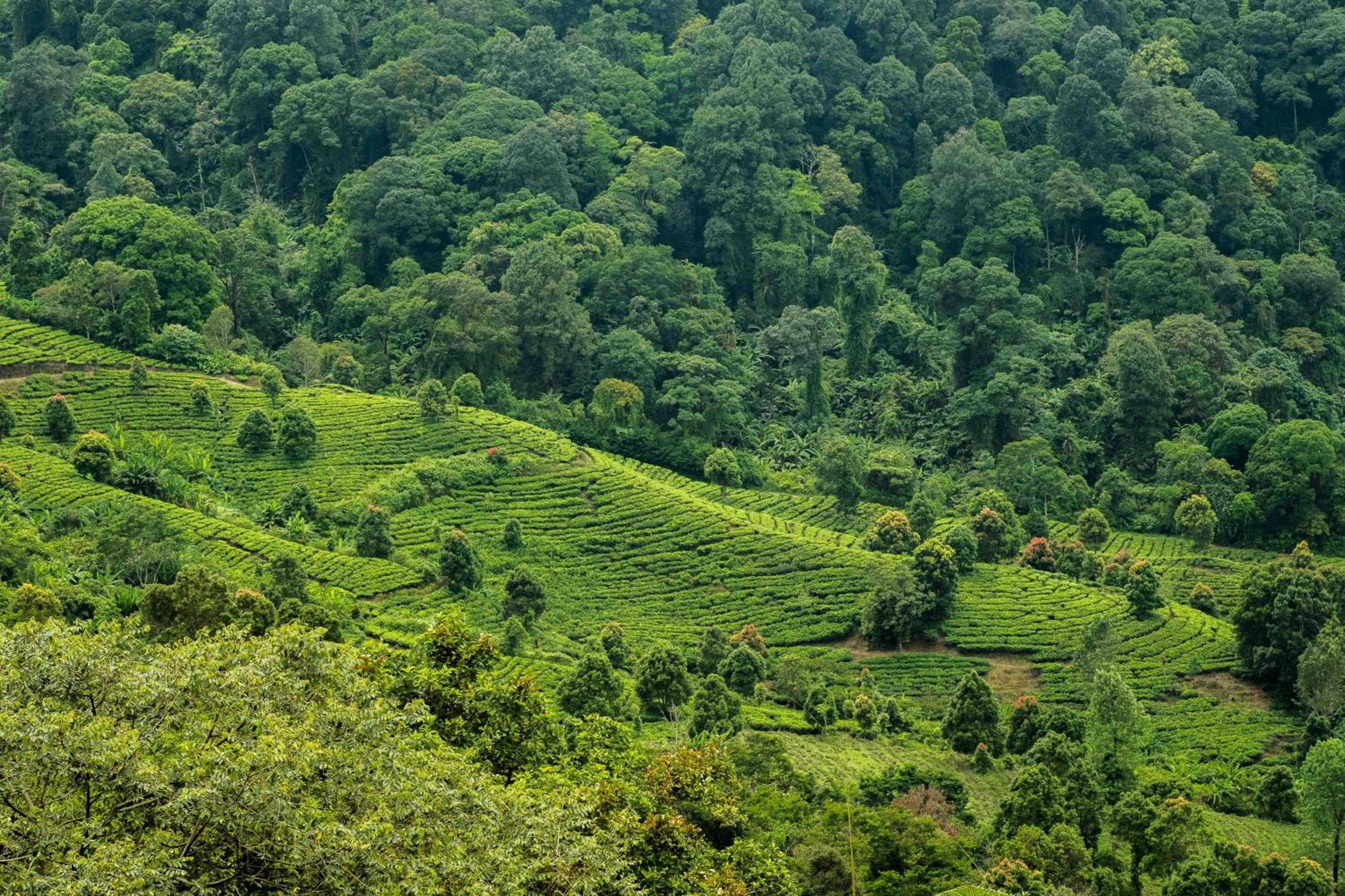 Other in Novus Giri Resort & Spa