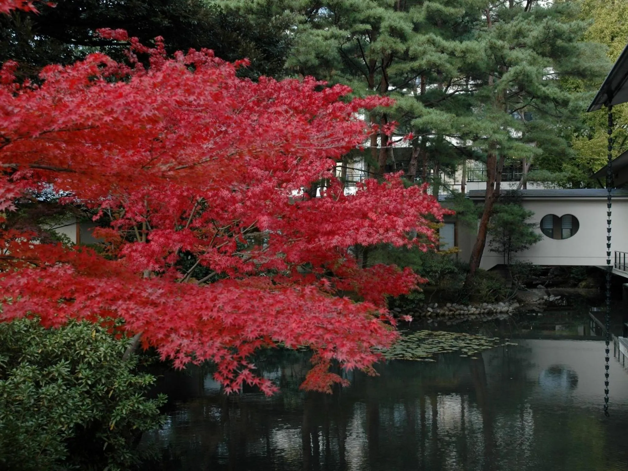 Garden in Matsusaki