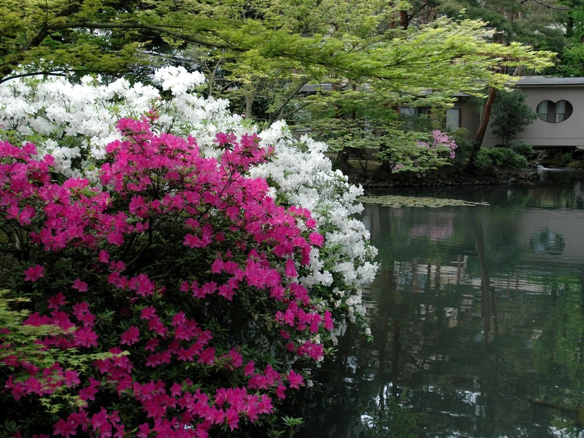 Garden in Matsusaki