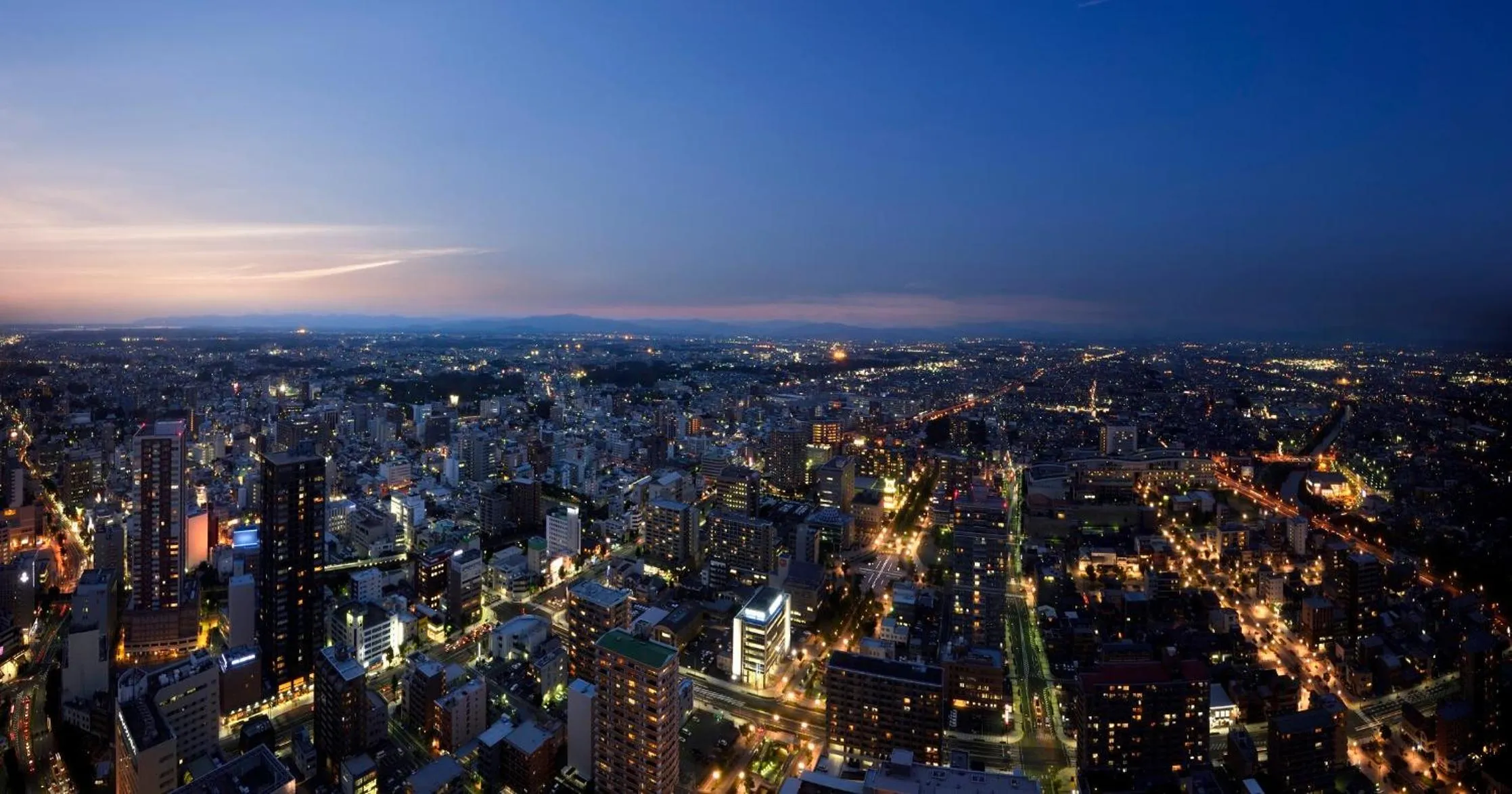 City view in Okura Act City Hotel Hamamatsu