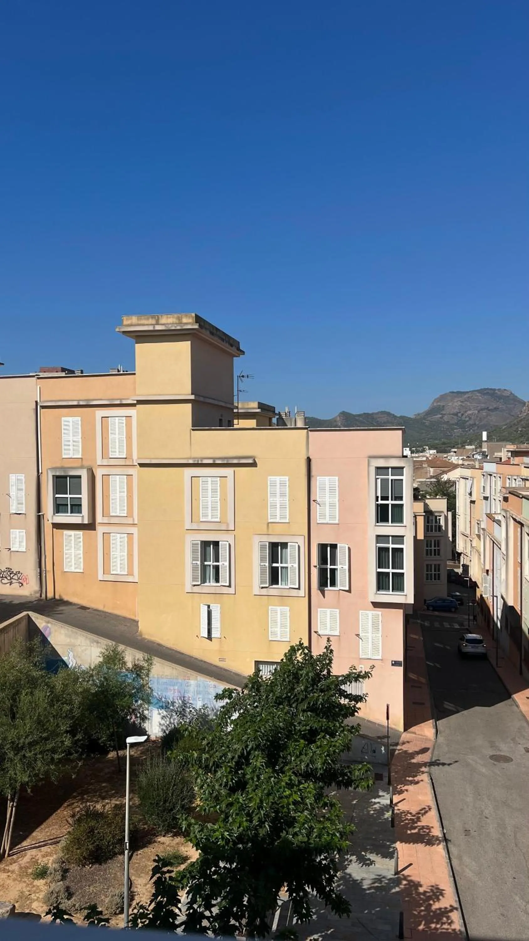 Garden view in Loop INN Hostel Cartagena