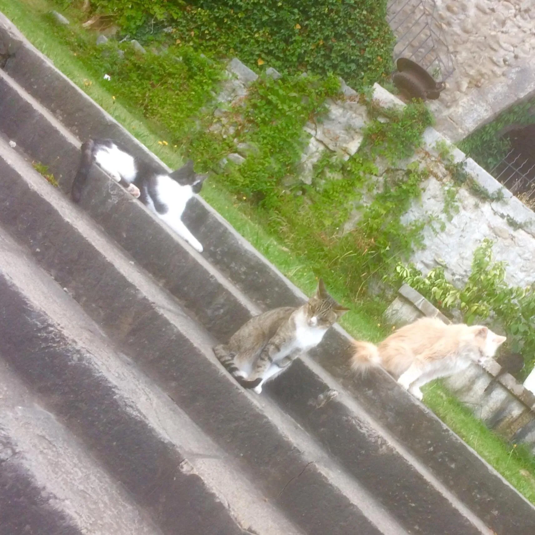 Château de la Cazette