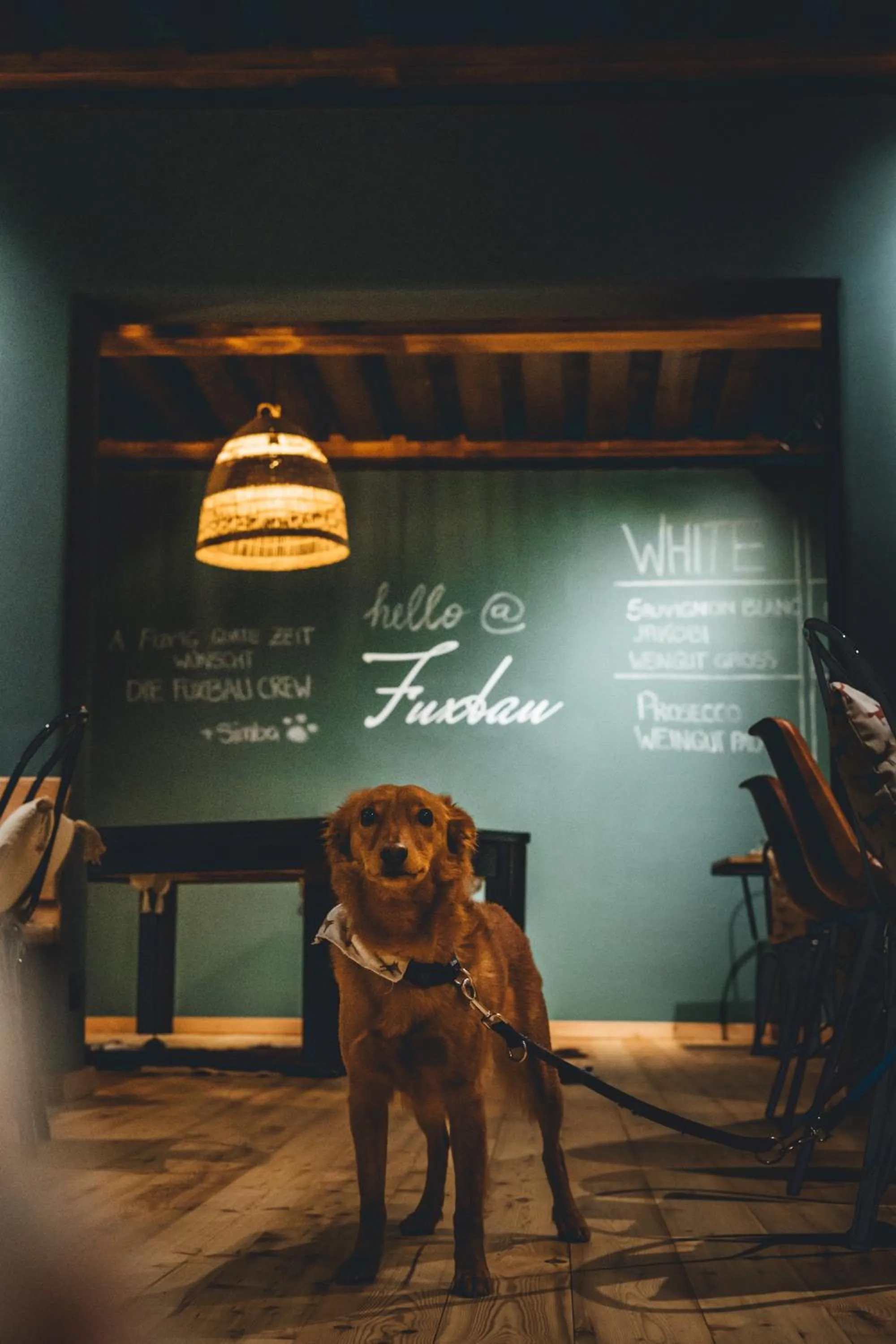 Restaurant/places to eat in Hotel Sportalm - Adults Only Boutique Hotel