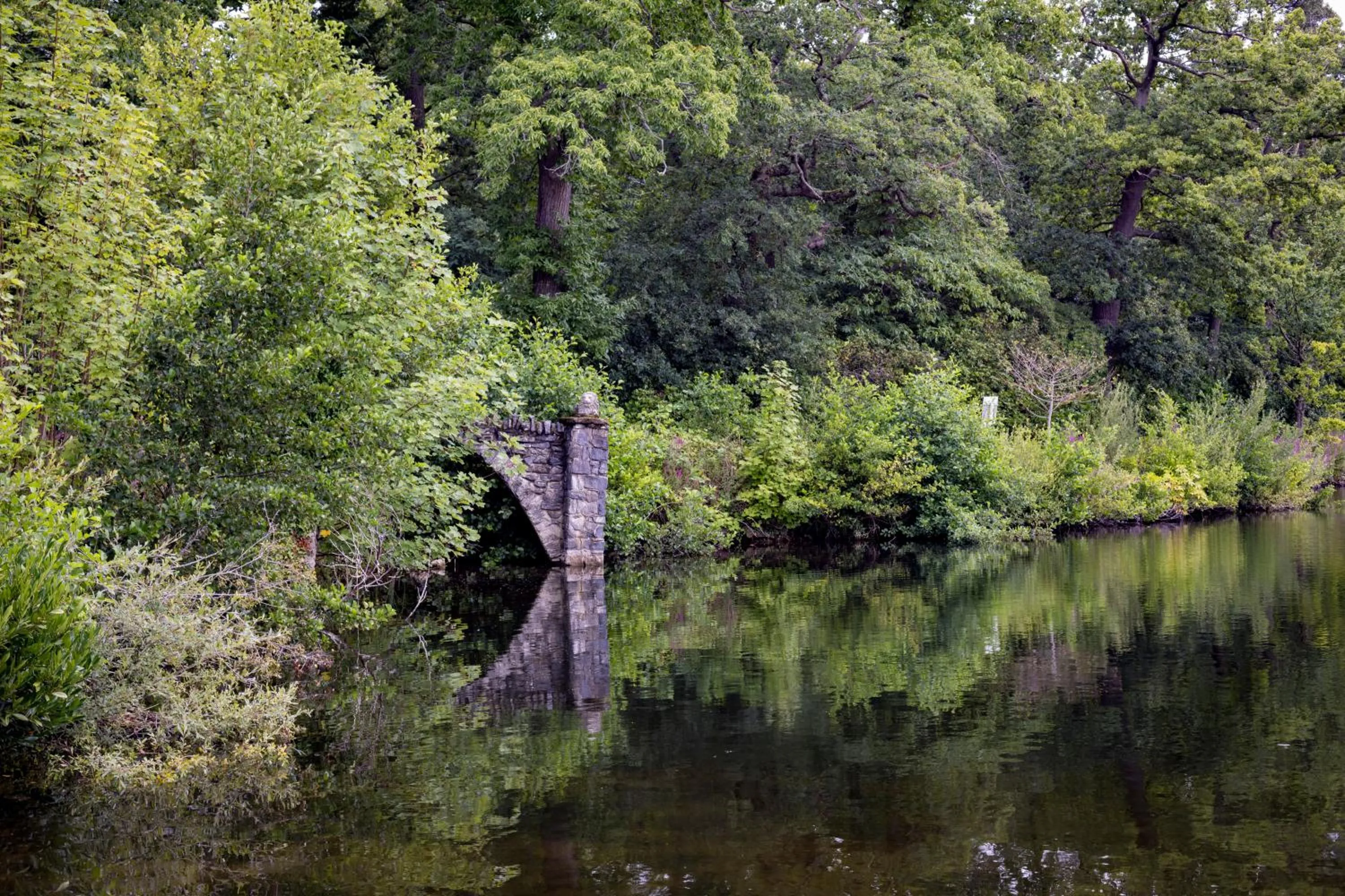Lakeside International Hotel
