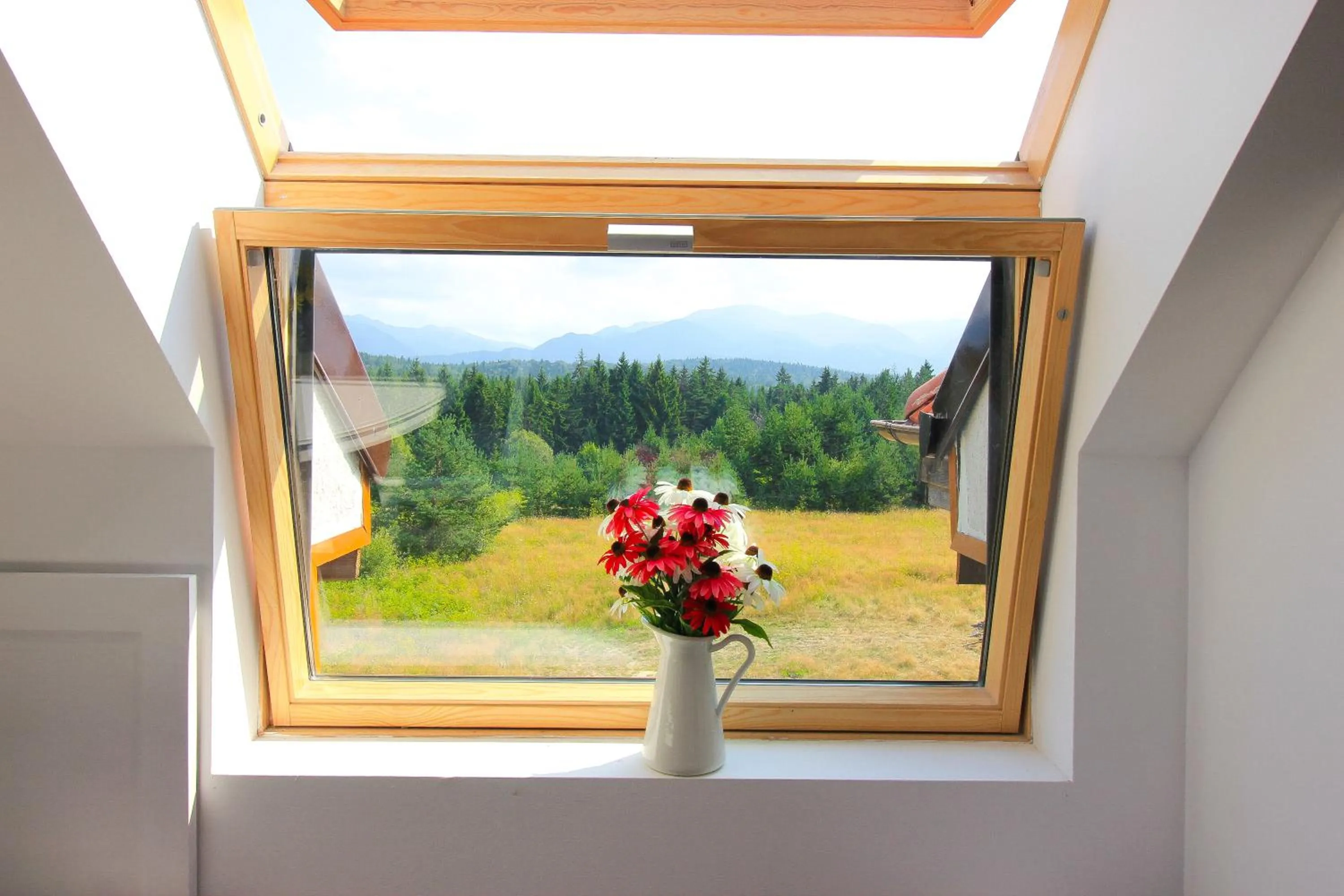 Natural landscape in Chamkoria Chalets