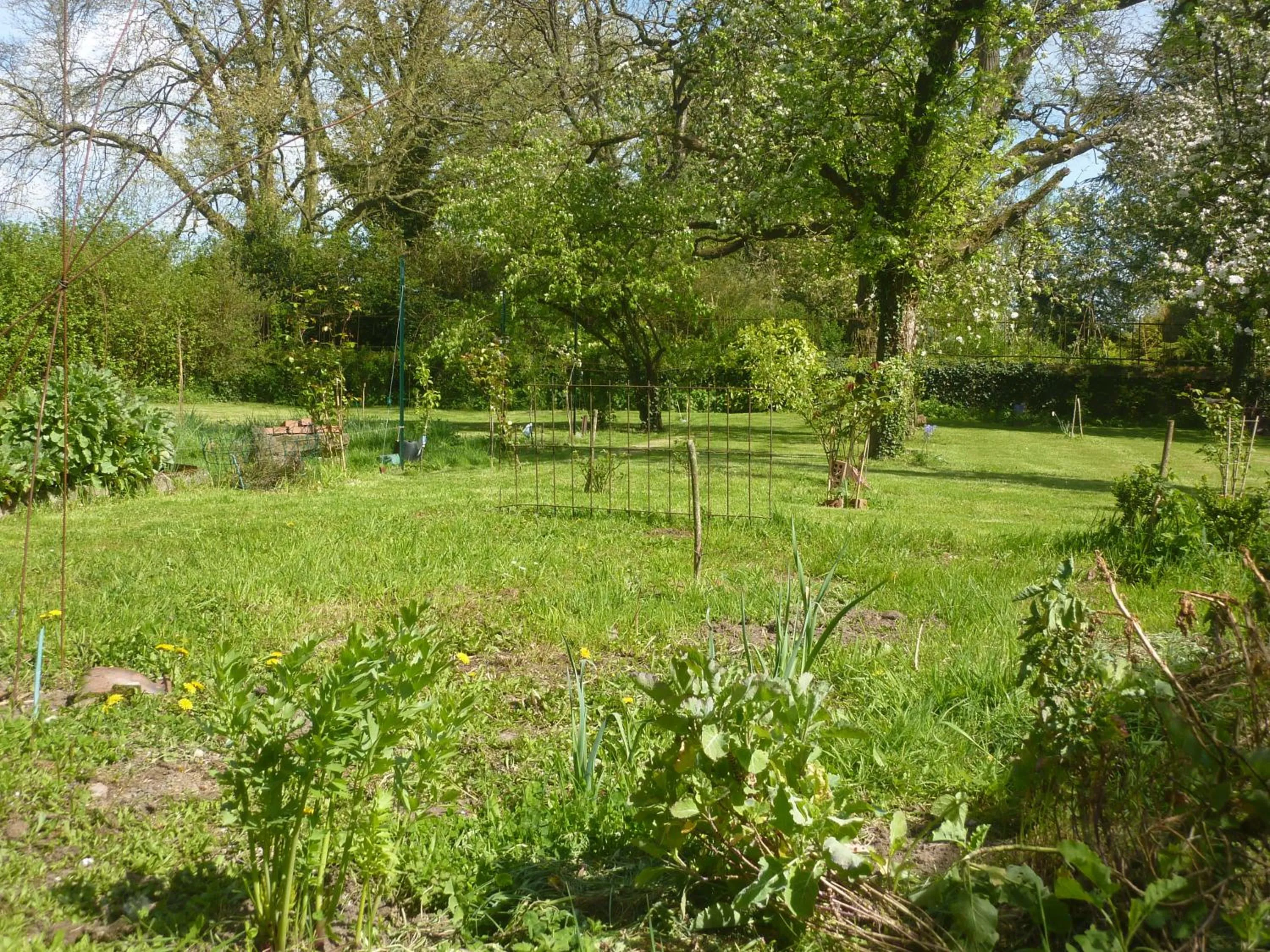 Garden in Les chambres des Demoiselles
