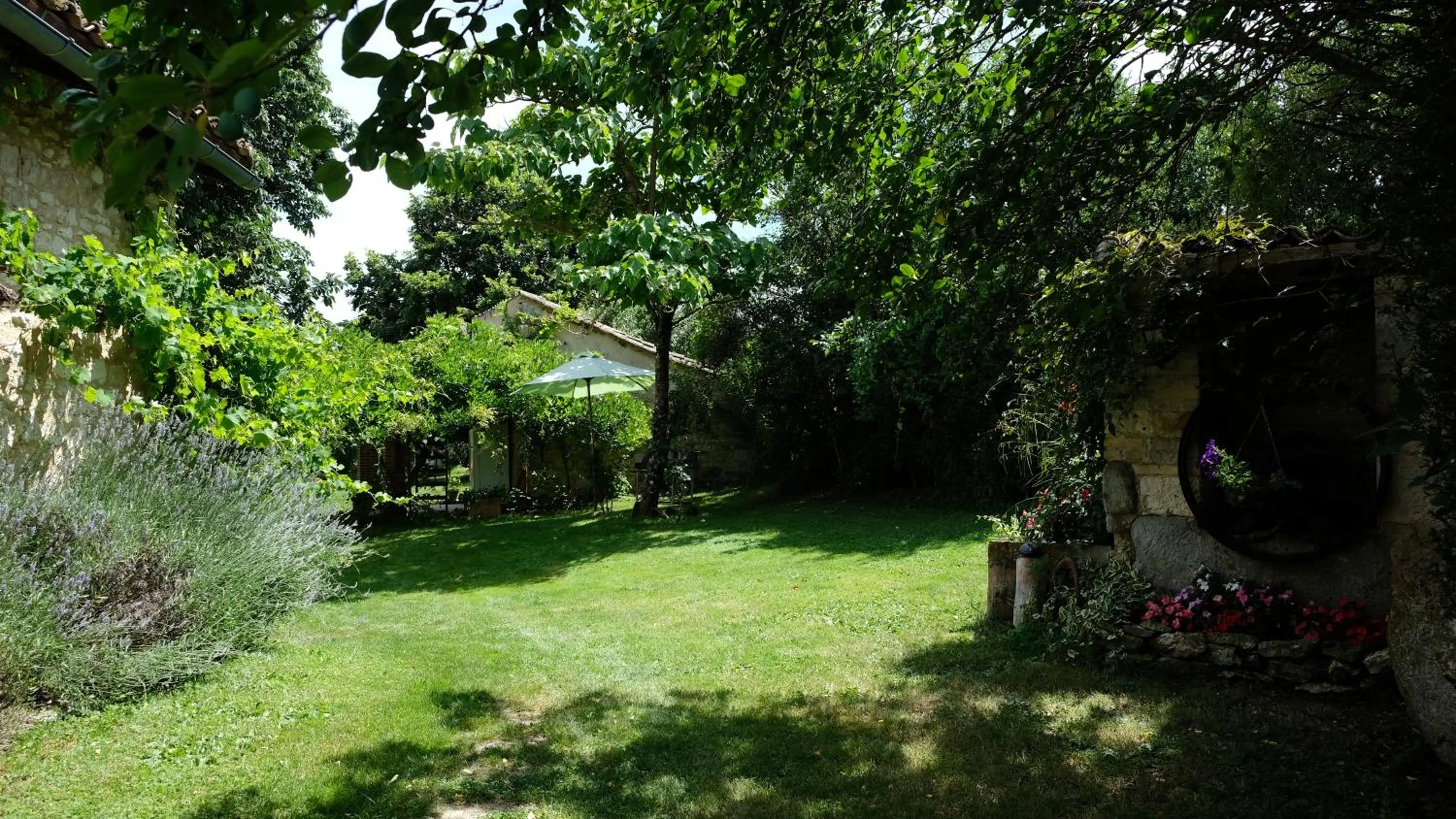 Garden in Domaine Les Miquels