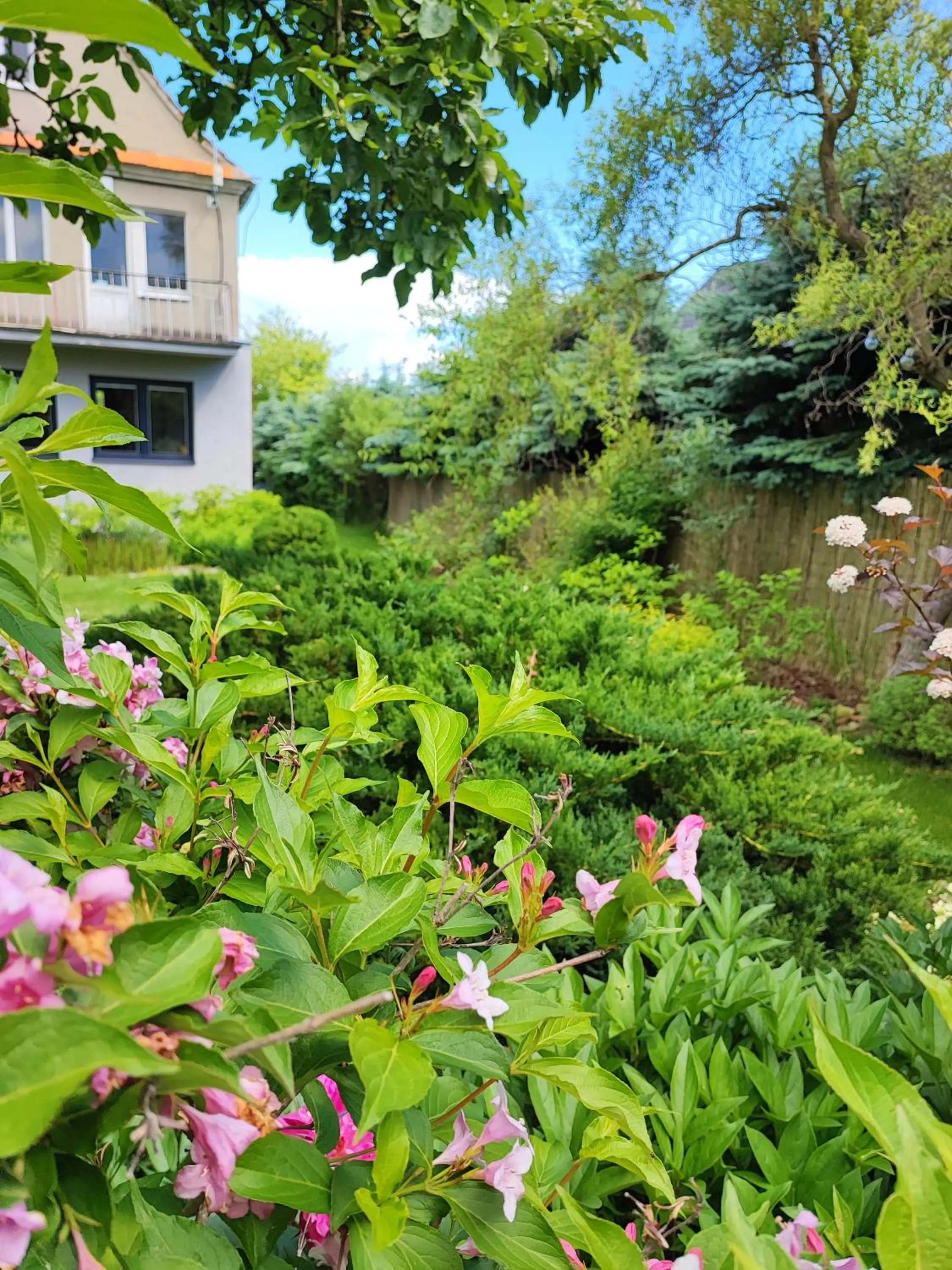 Apartament Malwina