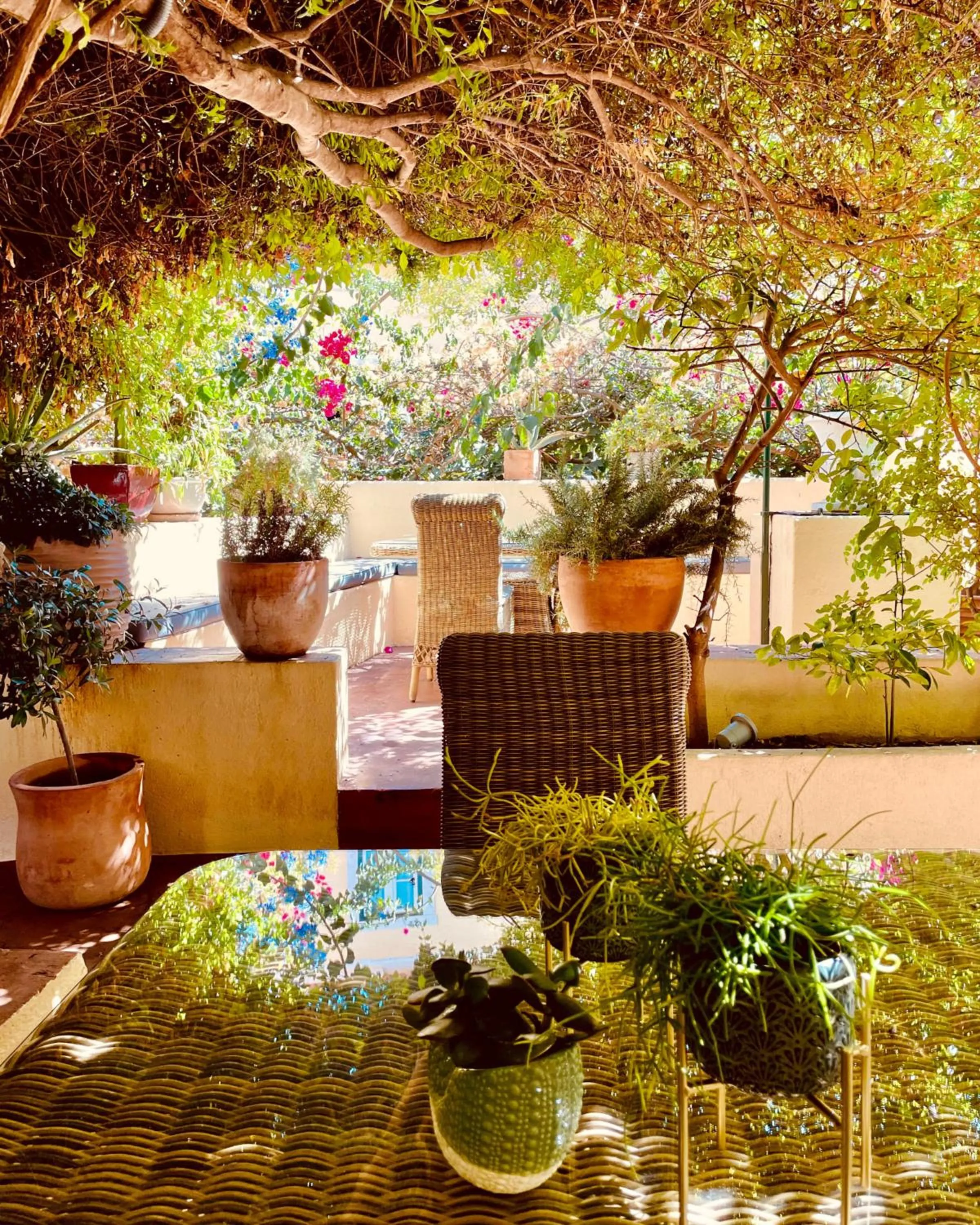 Garden in Palacio Ramalhete