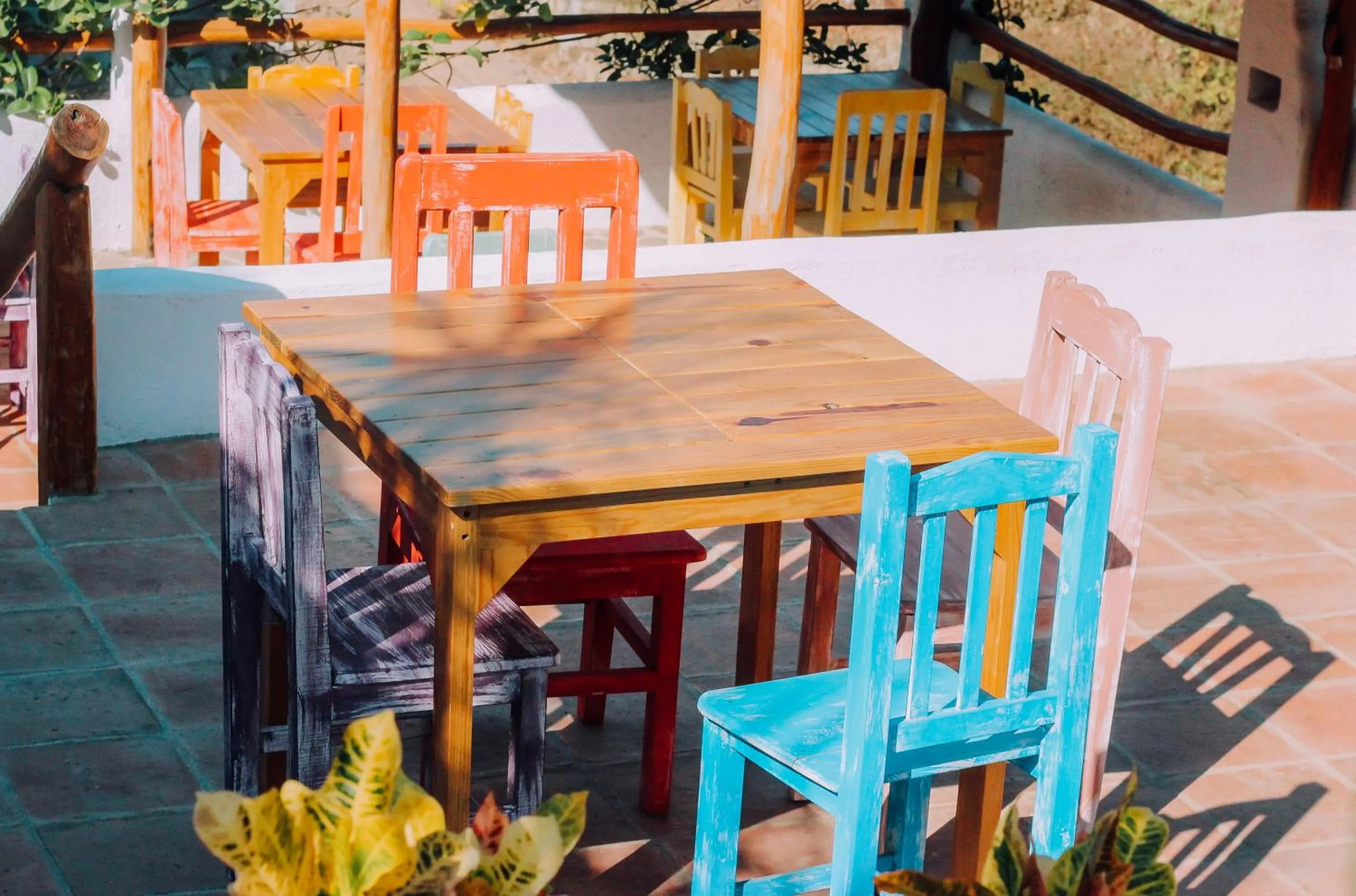 Dinner in Hotel el Risco