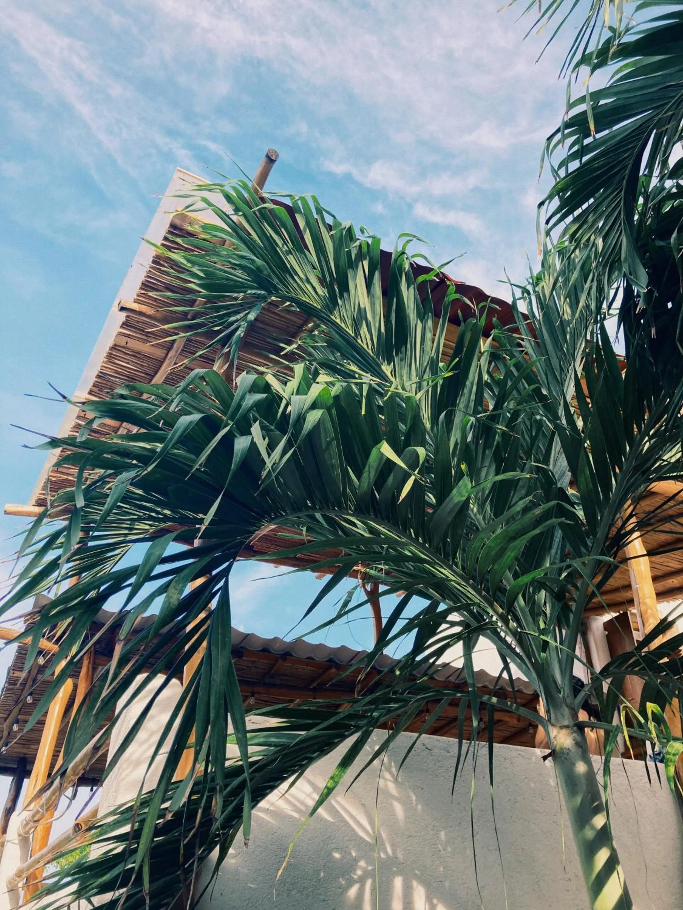 Garden view in Hotel el Risco