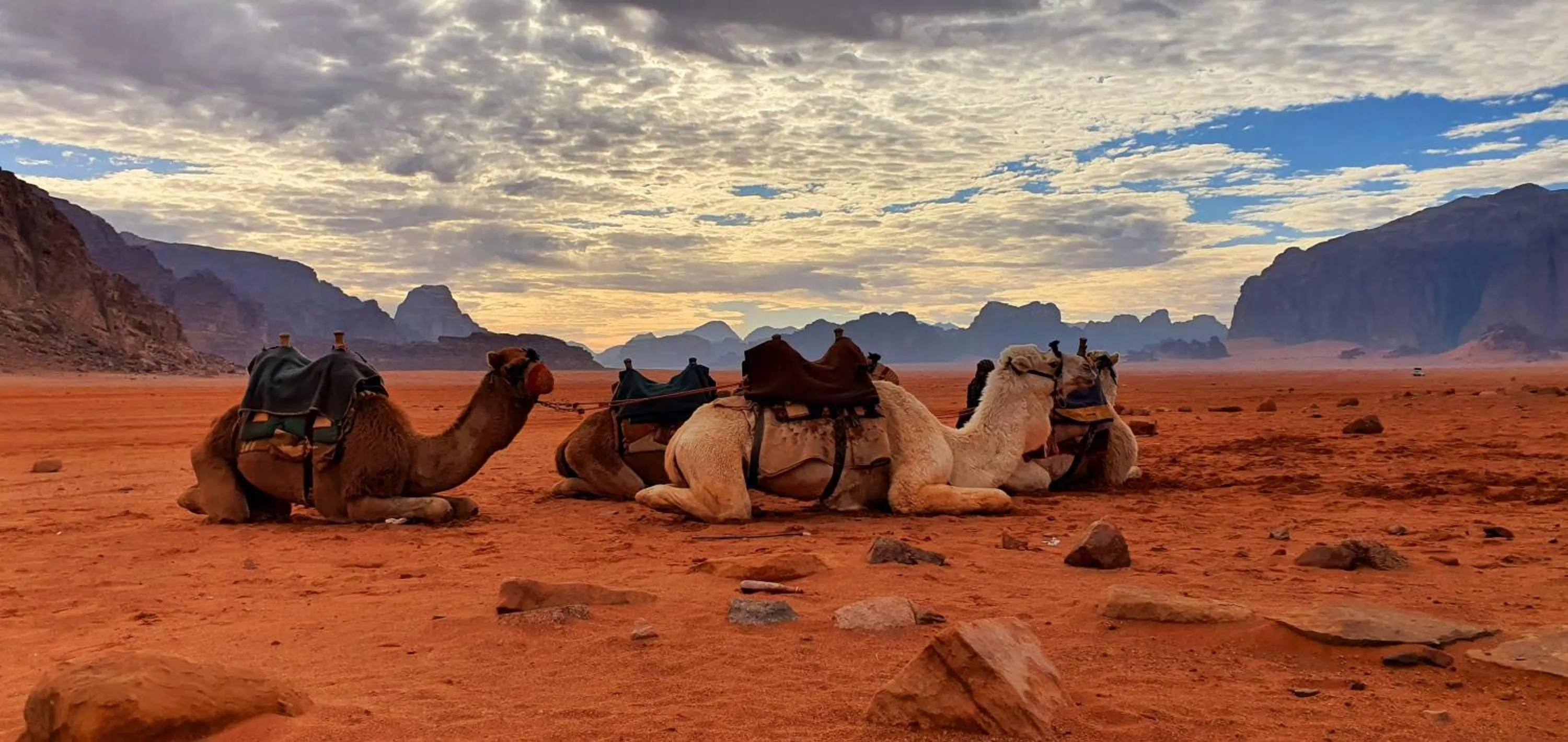 Memories Aicha Luxury Camp