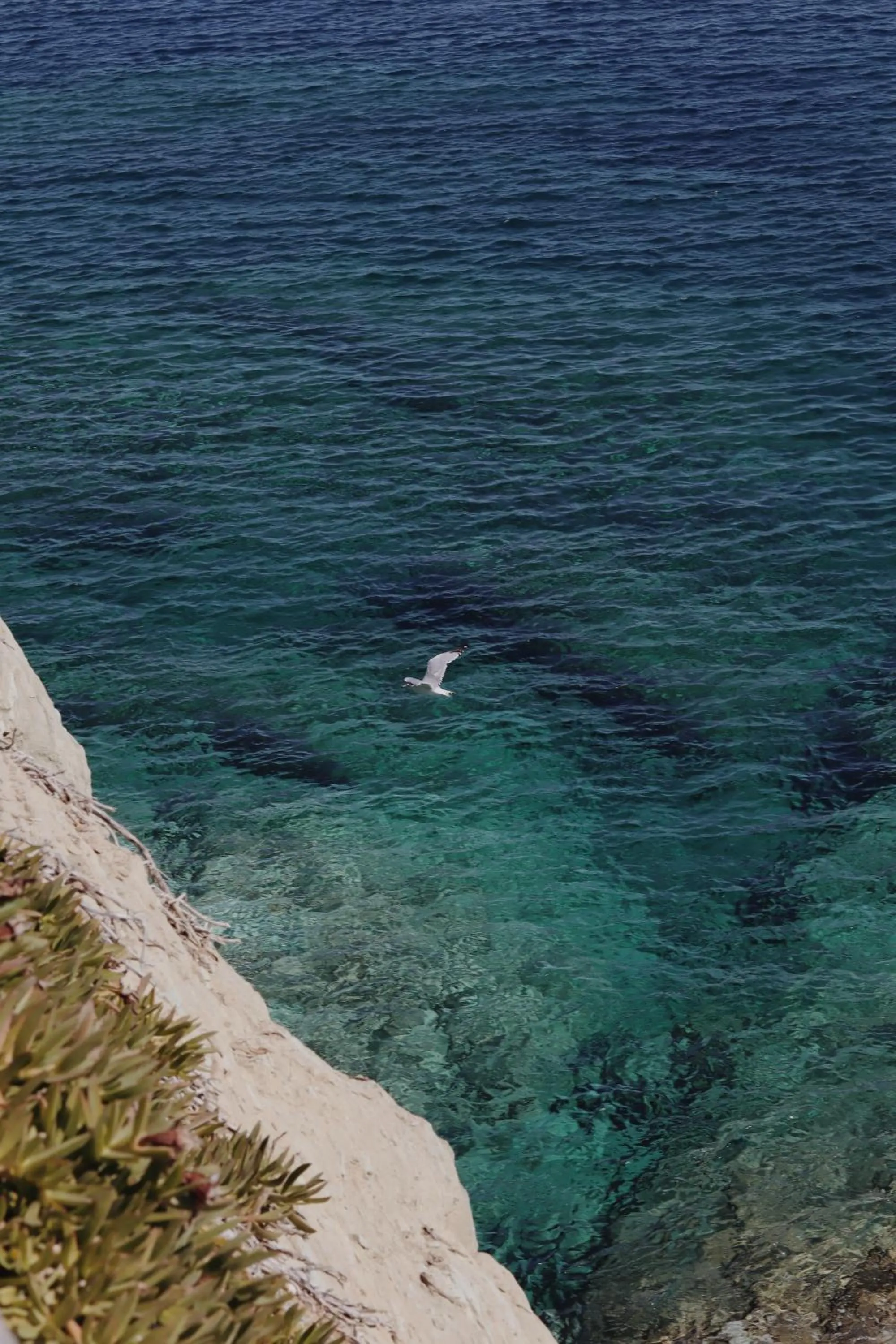 Natural landscape in Peninsula Resort & Spa