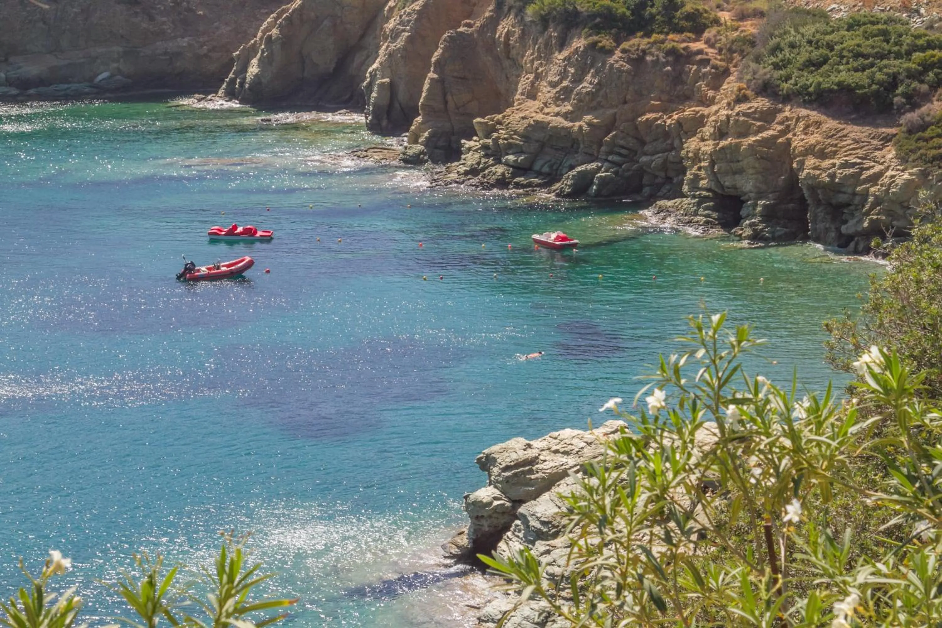 Natural landscape in Peninsula Resort & Spa