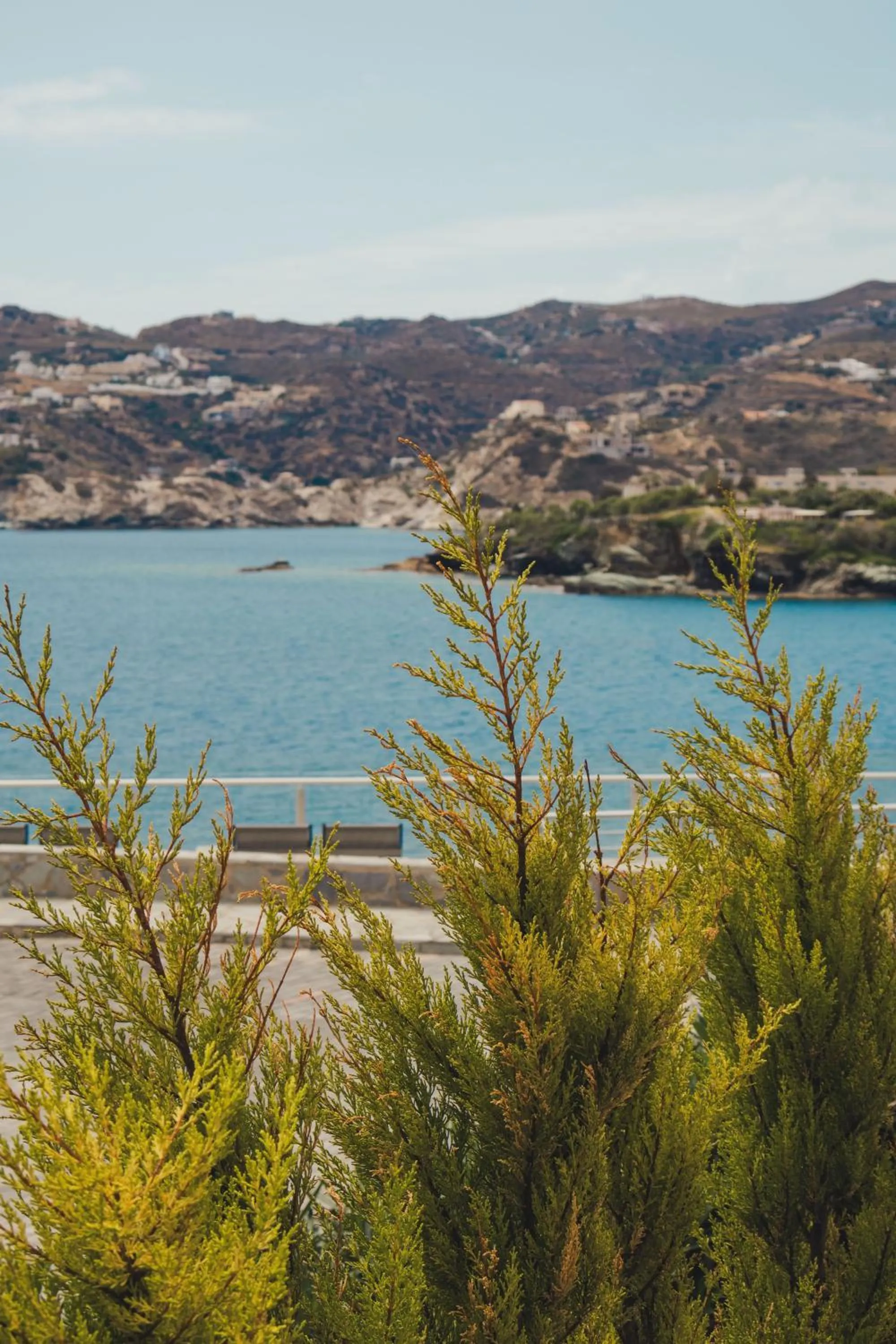 Natural landscape in Peninsula Resort & Spa