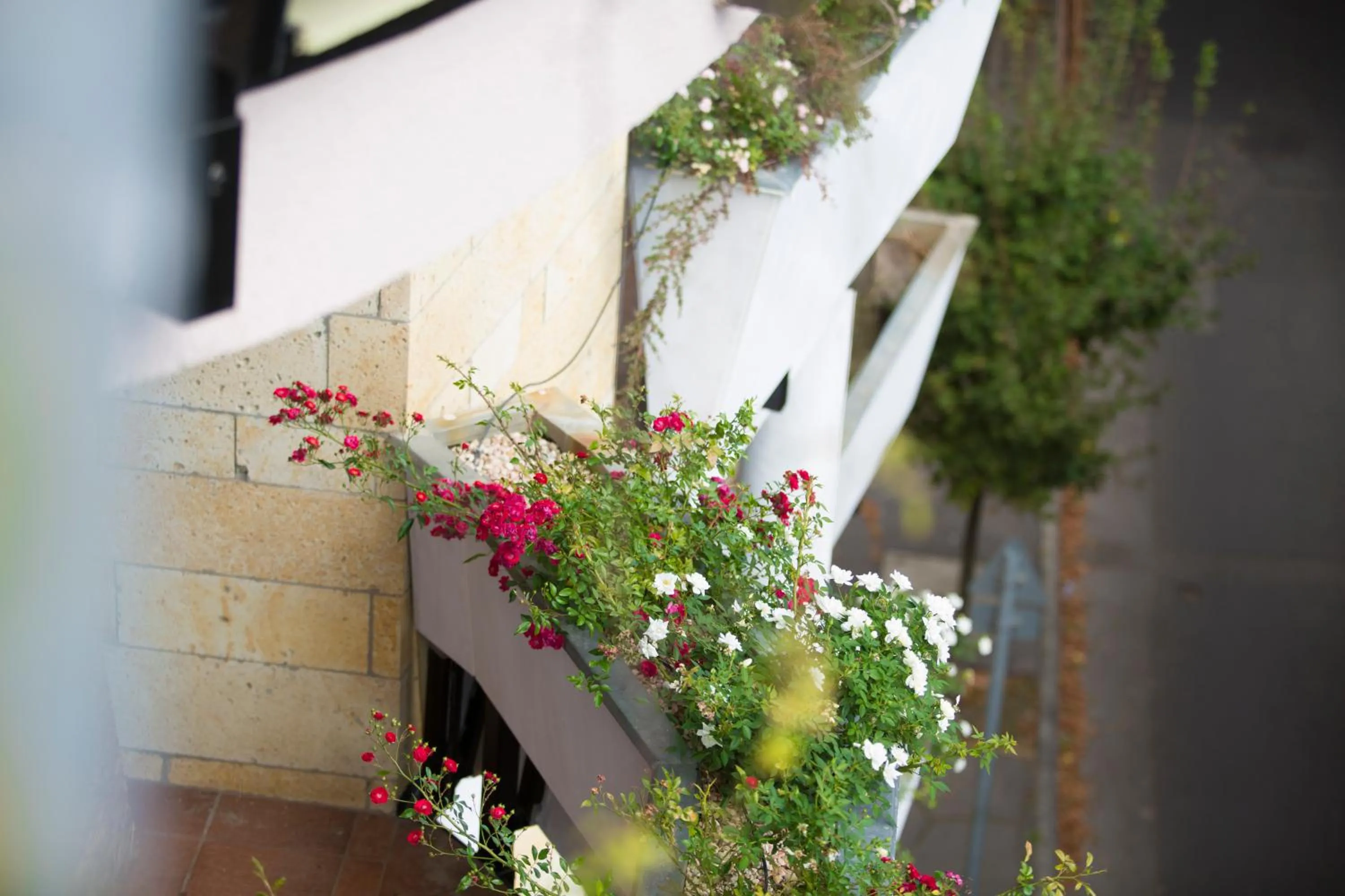 View (from property/room) in Semiramis Business Hotel