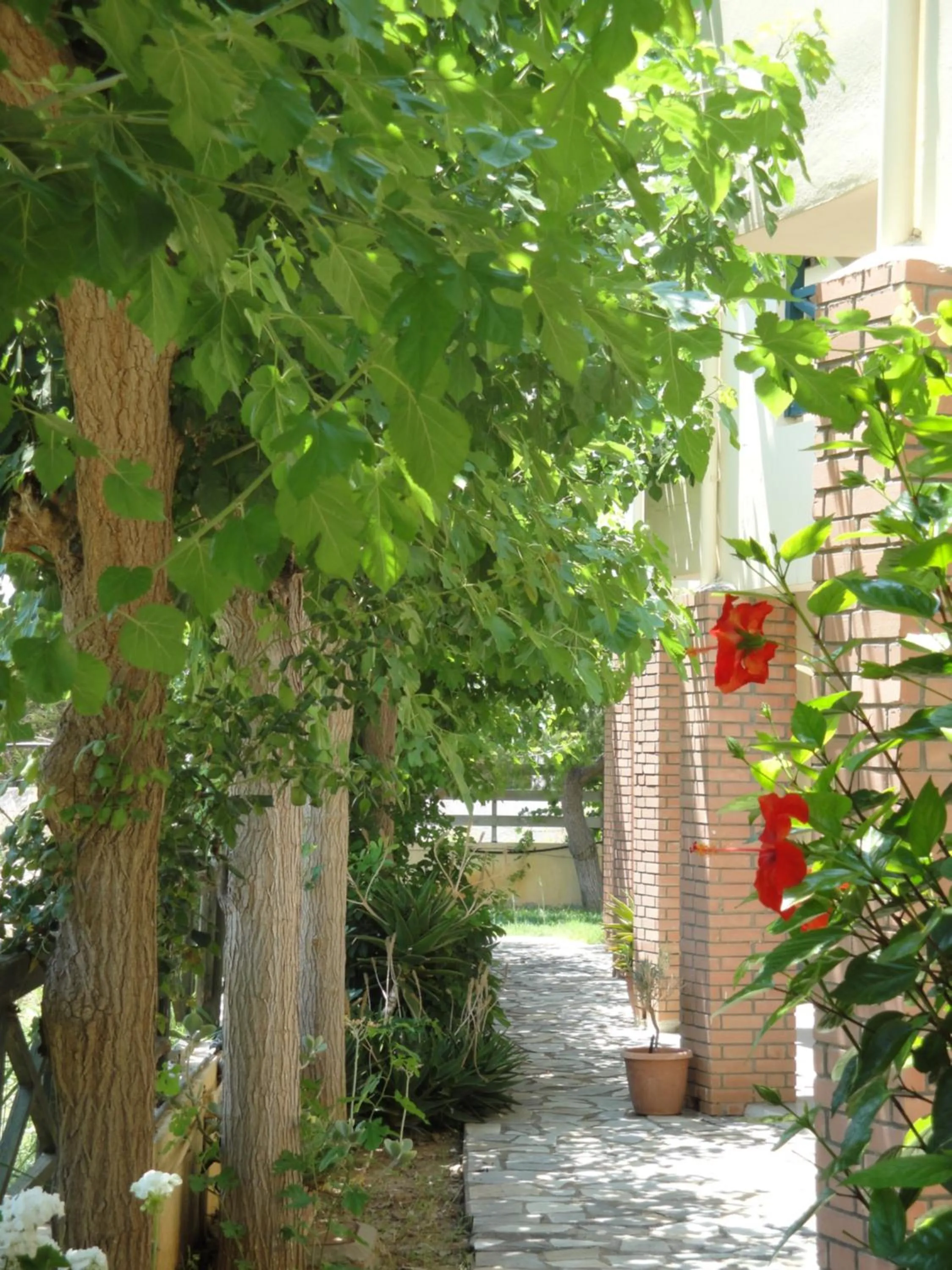 Garden in Nancy - Chara Apartments