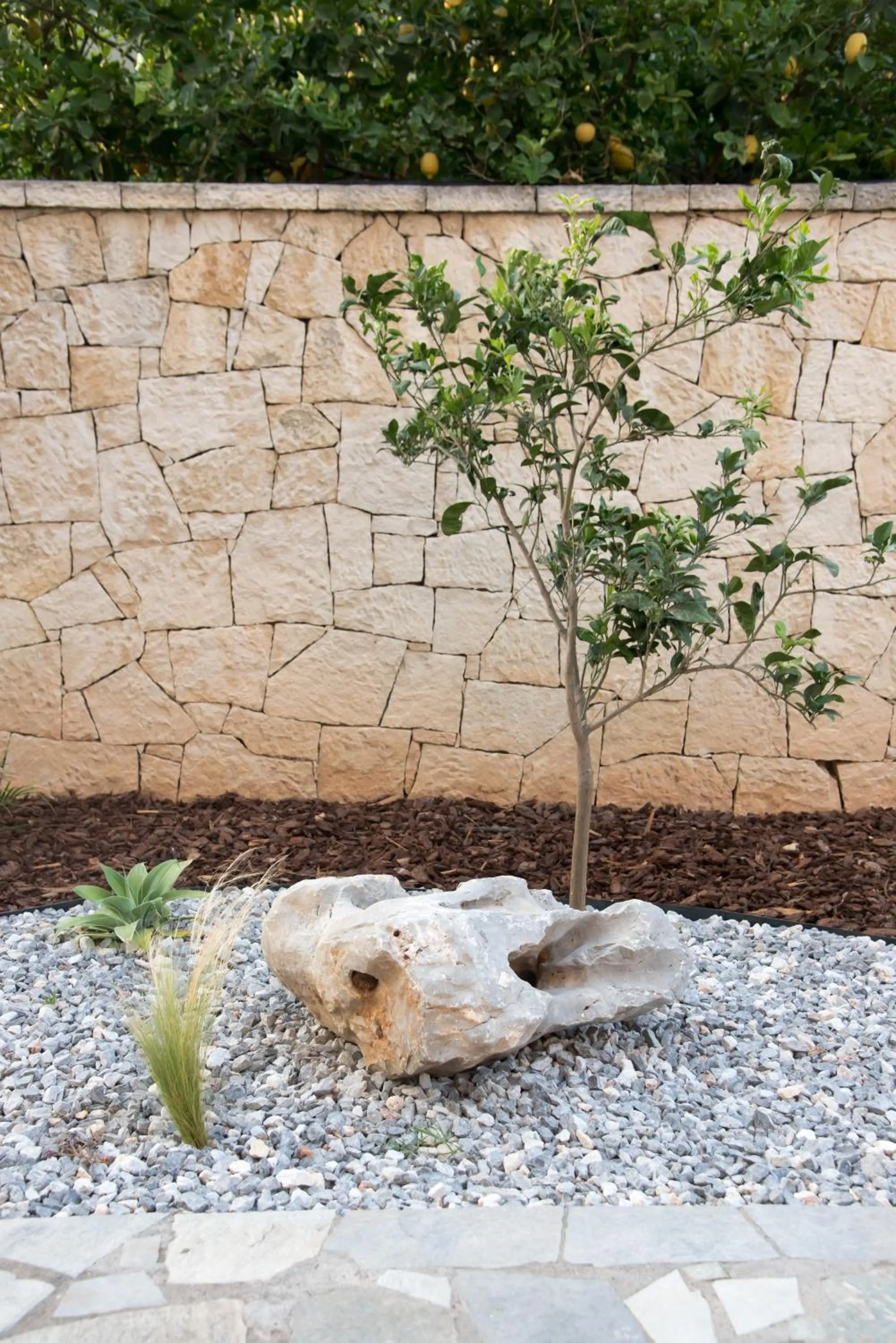 Property building in Nancy - Chara Apartments