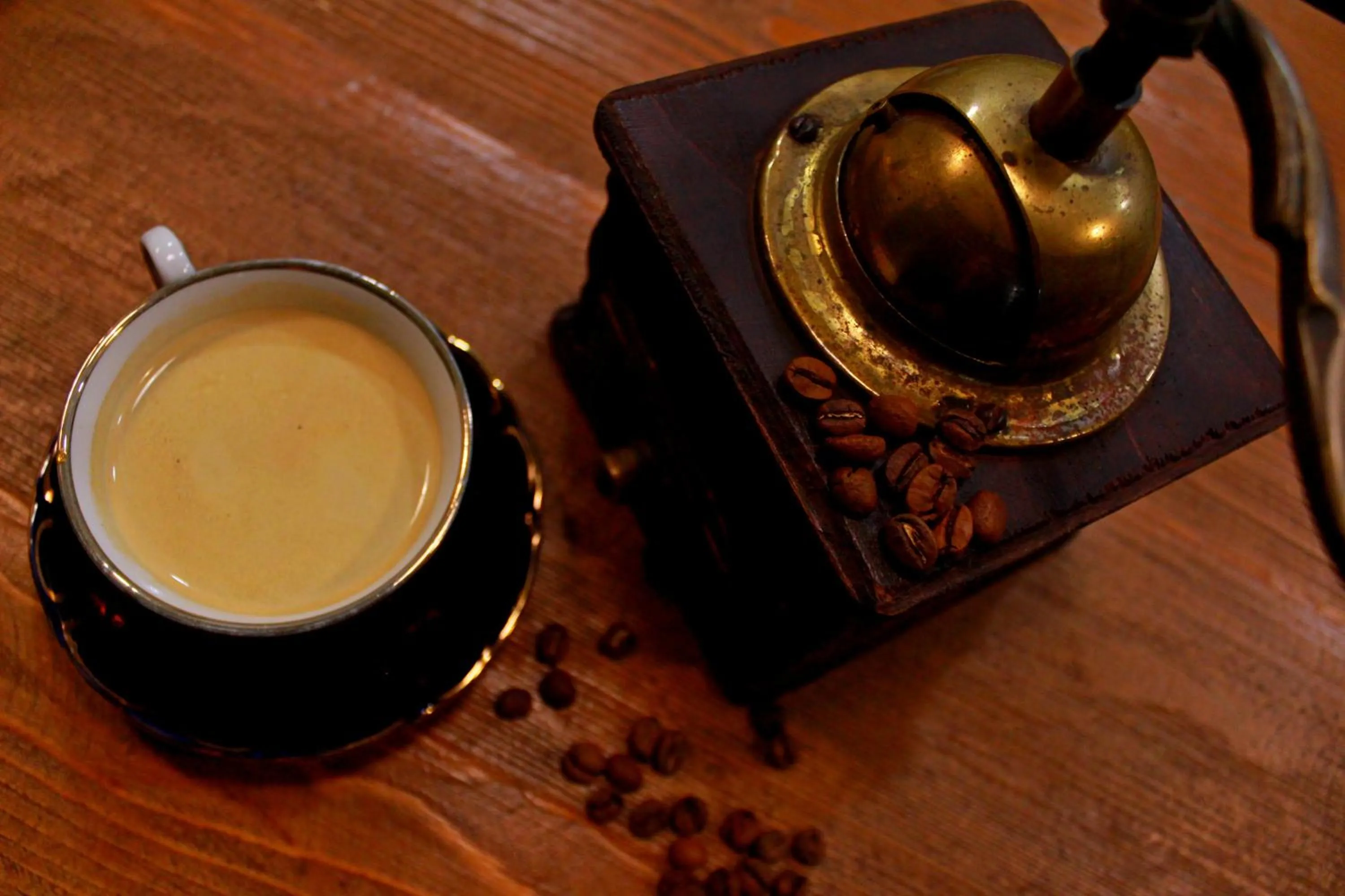 Food and drinks in Hotel Winoterra