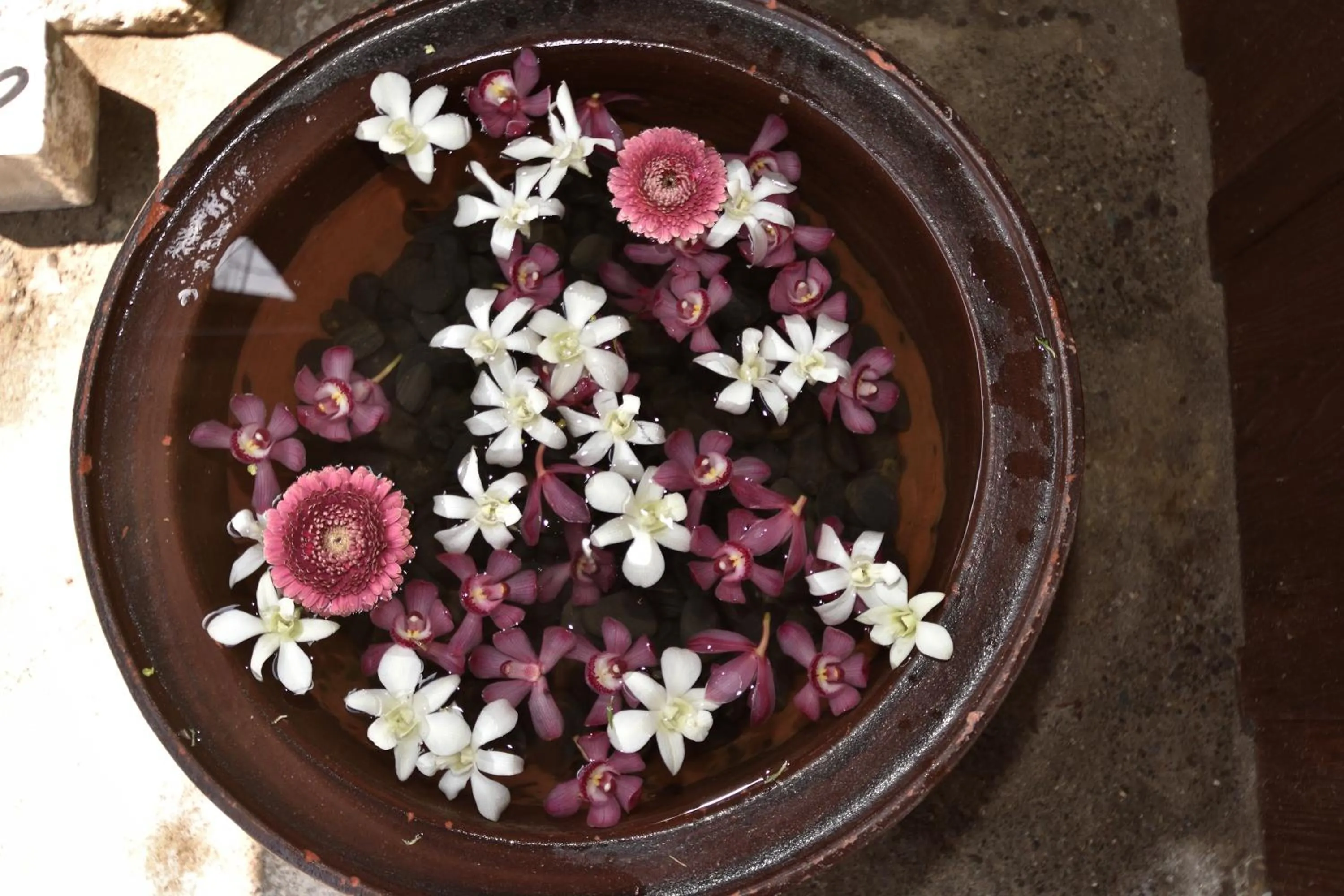 Property building in Kohaku AMBER Kamakura Zaimokuza