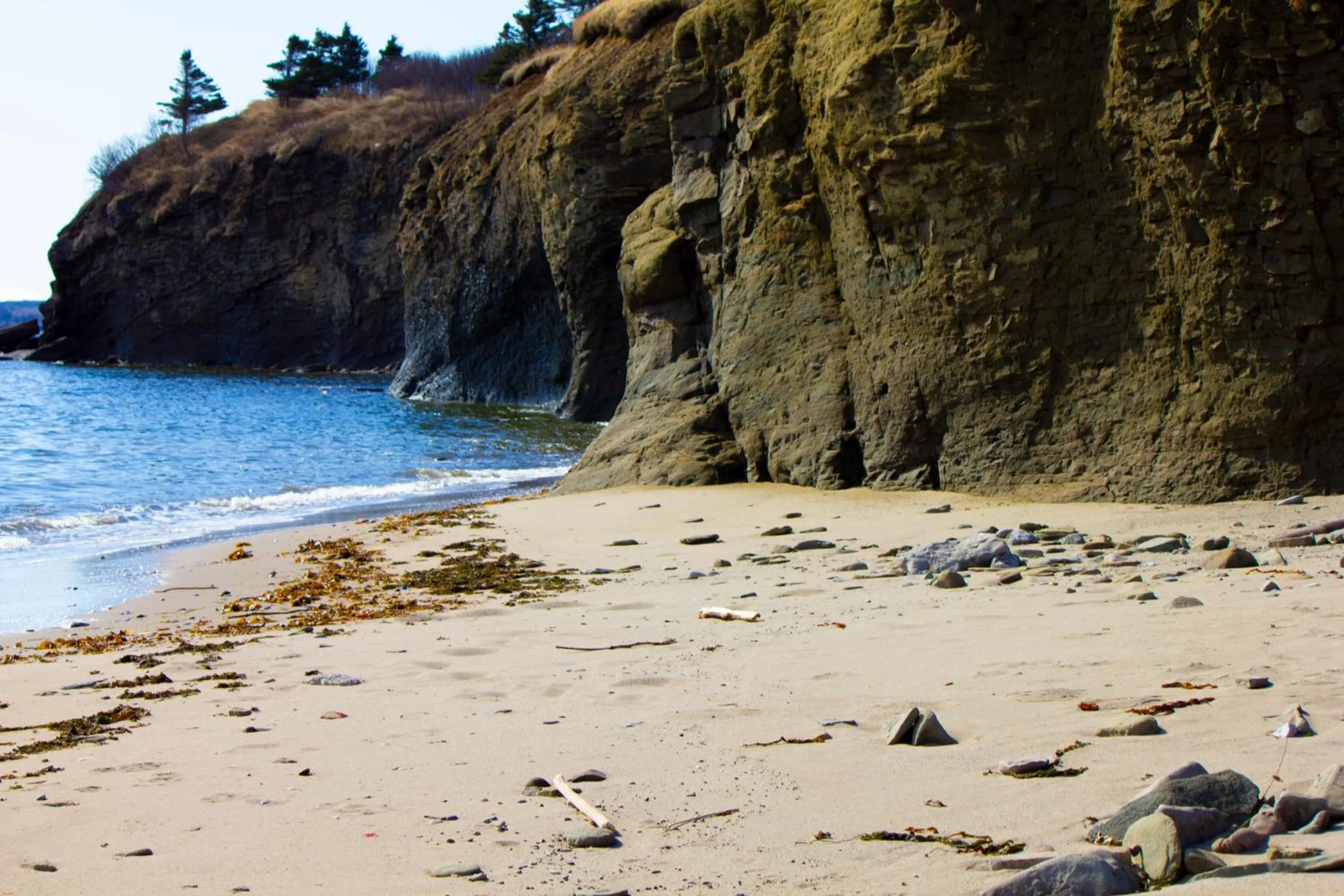 Beach in Hébergement Fort Prével