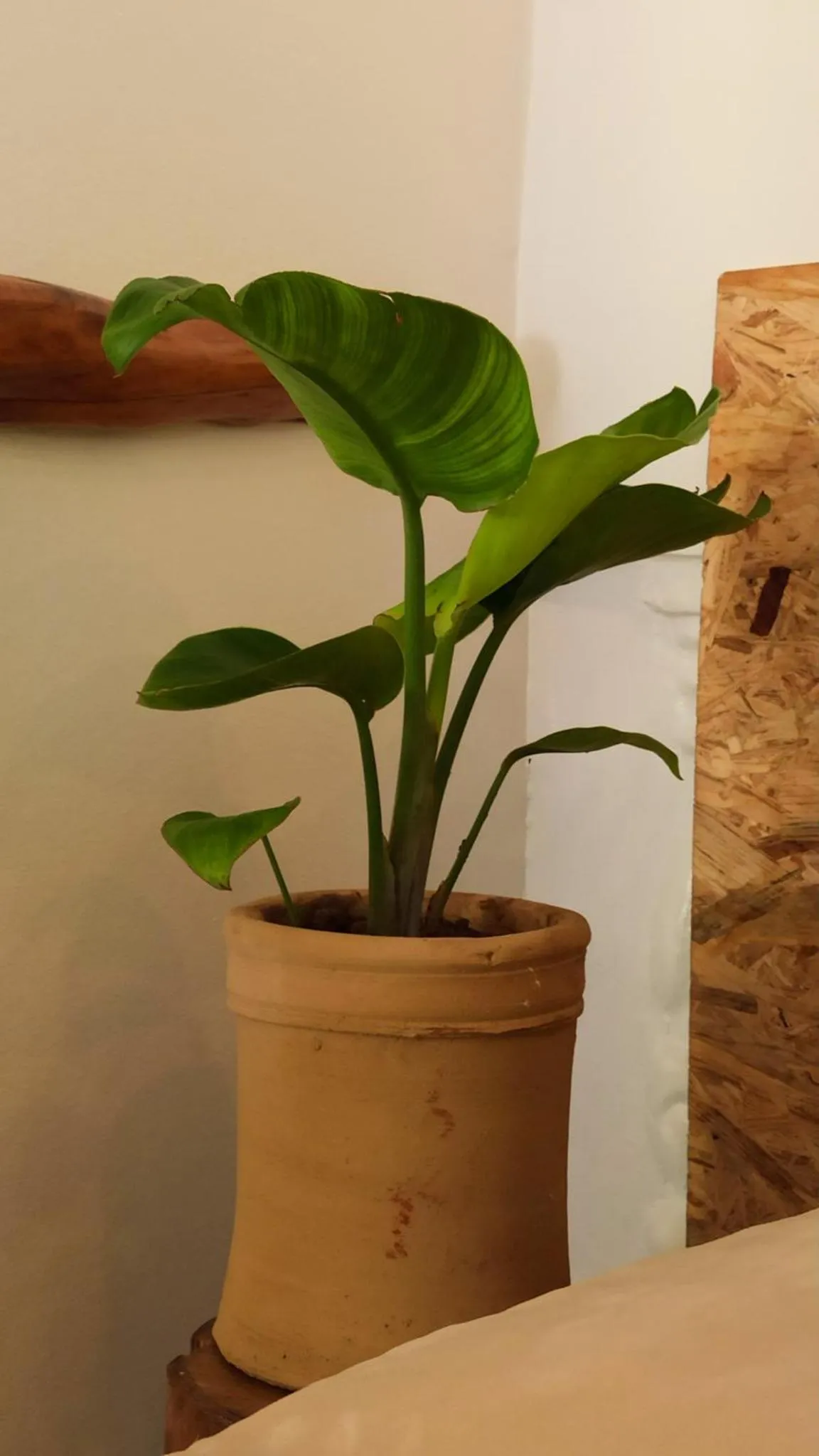 Home with a sea view