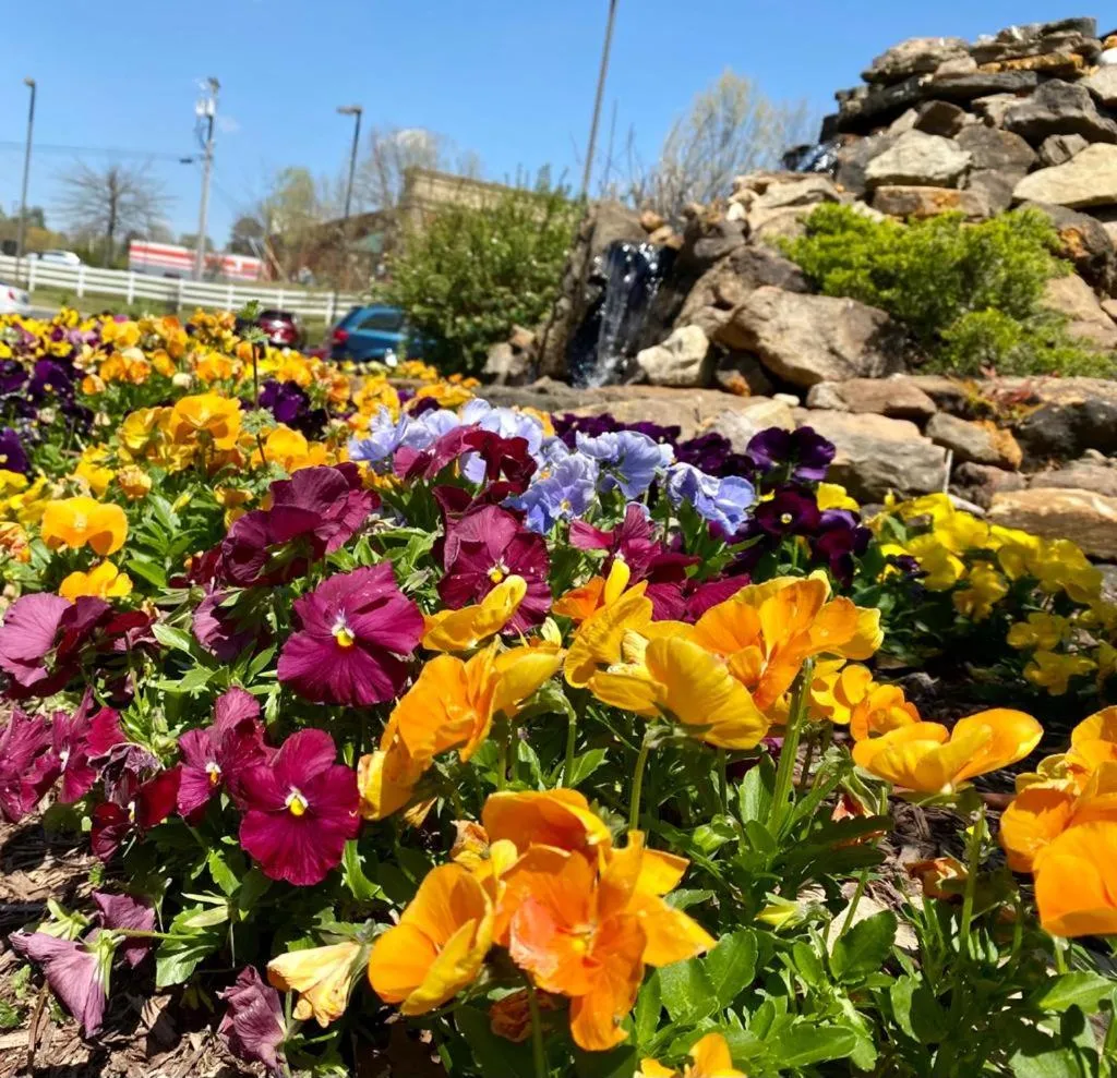 Property building in Country Inn & Suites by Radisson, Jackson, TN