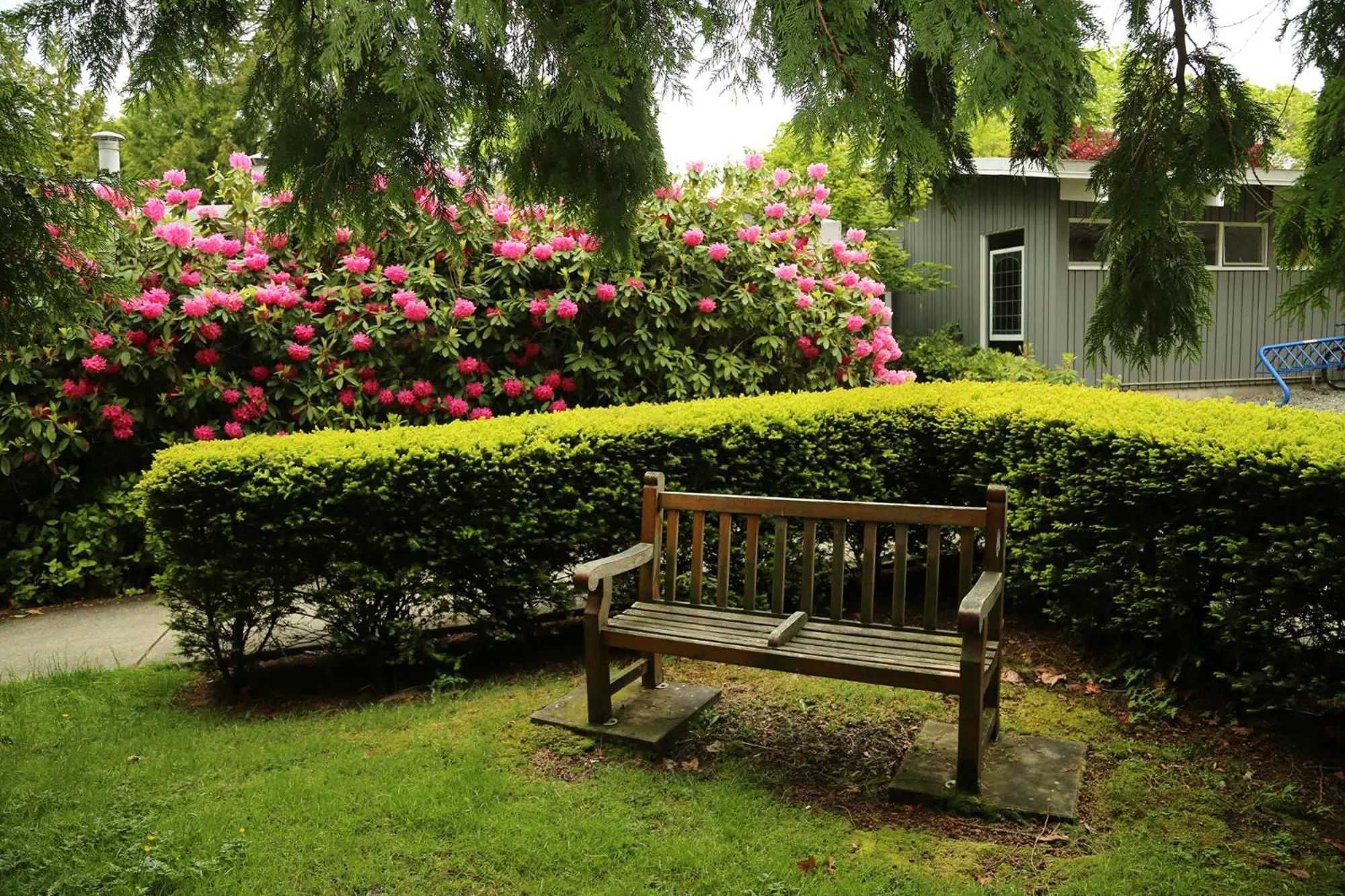 Patio in Carey Centre on UBC campus