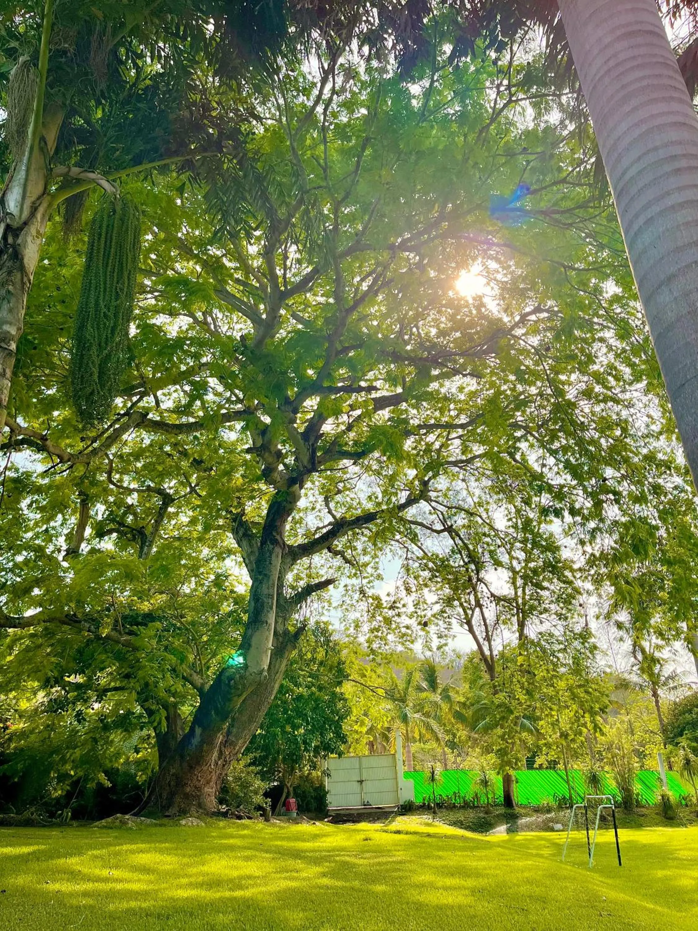 Garden in Hotel Puente Nacional & Spa