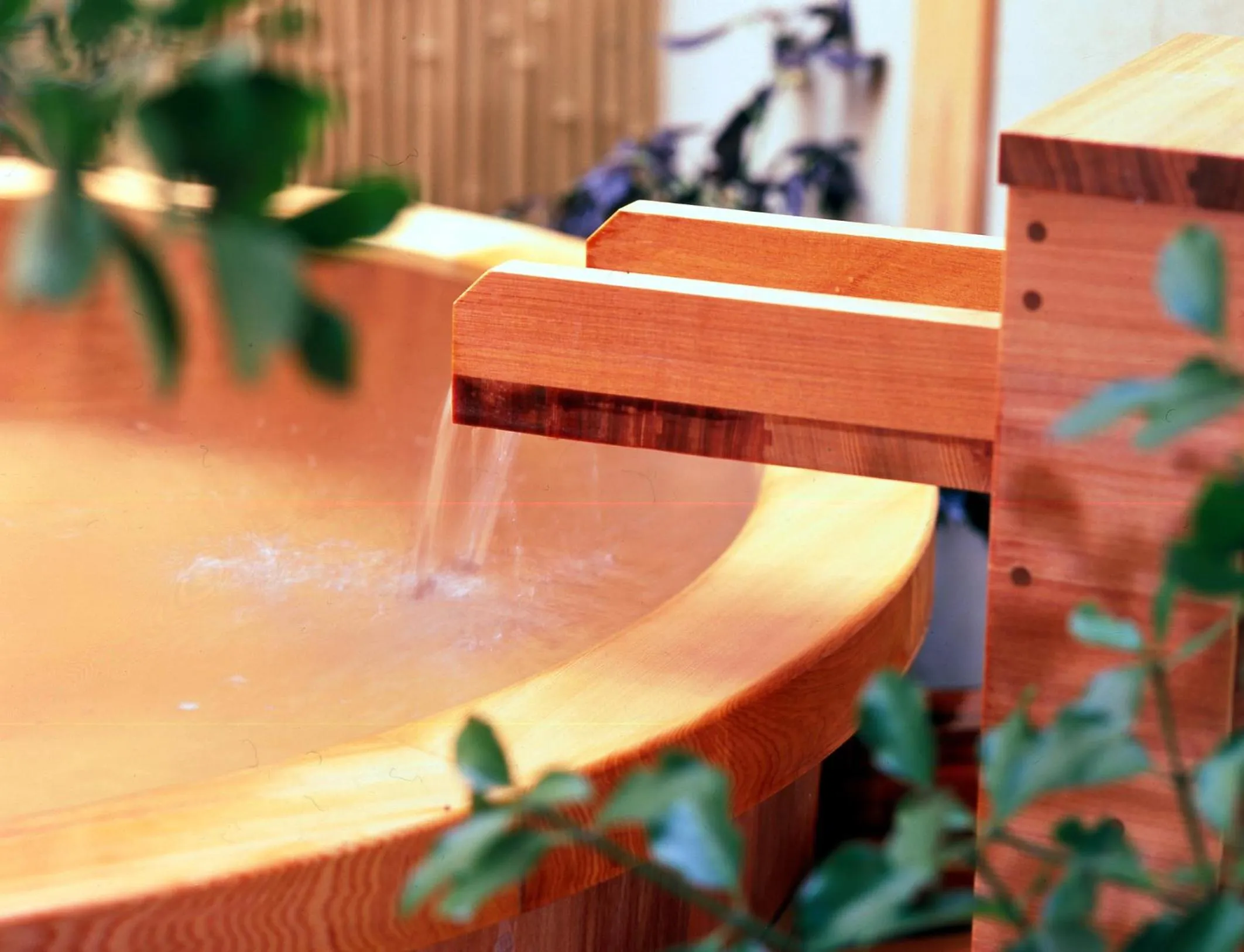 Hot Spring Bath in Kaike Shogetsu