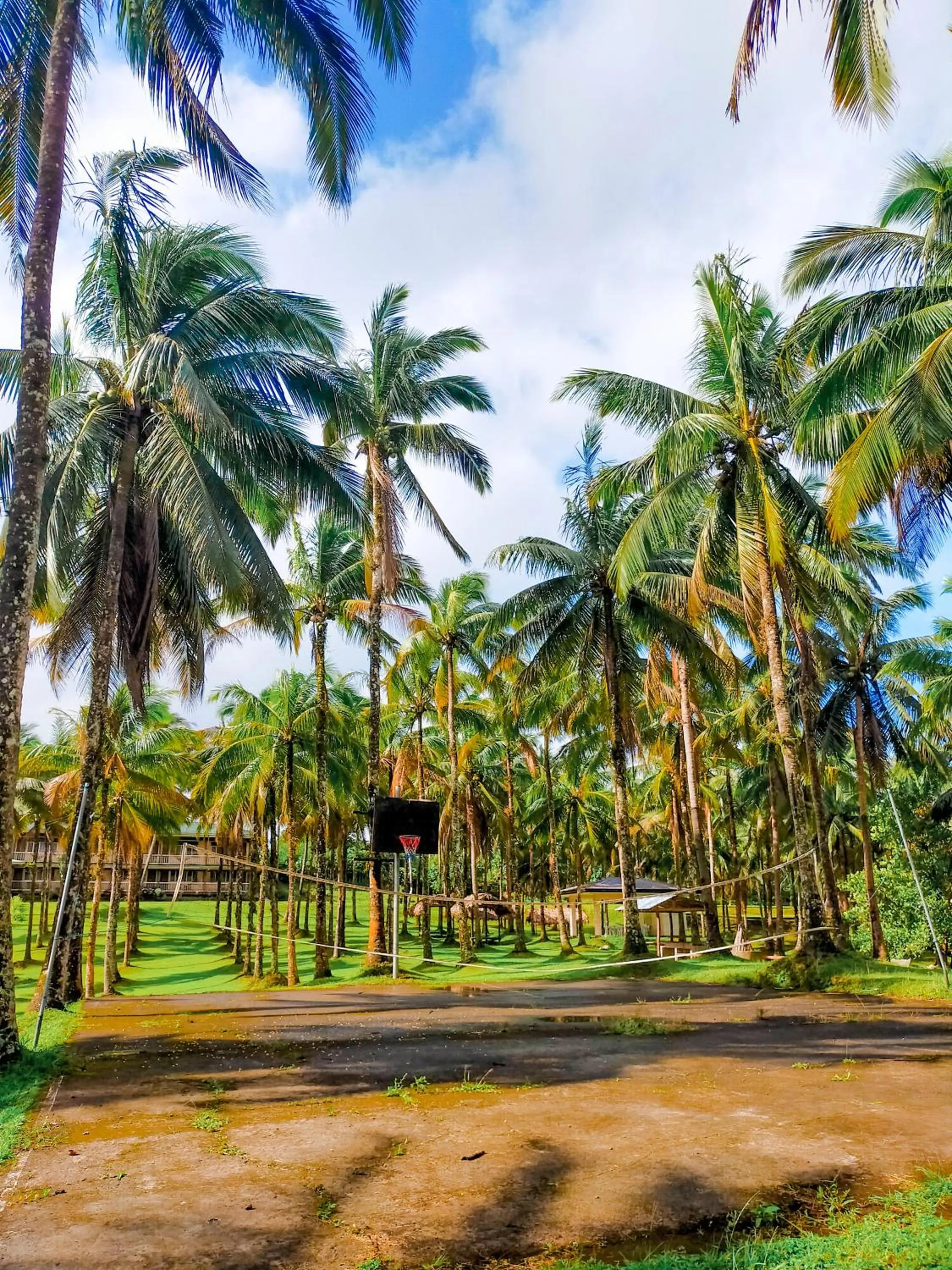 Natural landscape in Caliraya Ecoville Recreation and Farm Resort