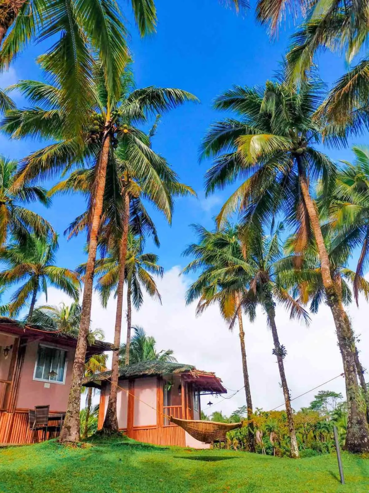 Garden in Caliraya Ecoville Recreation and Farm Resort