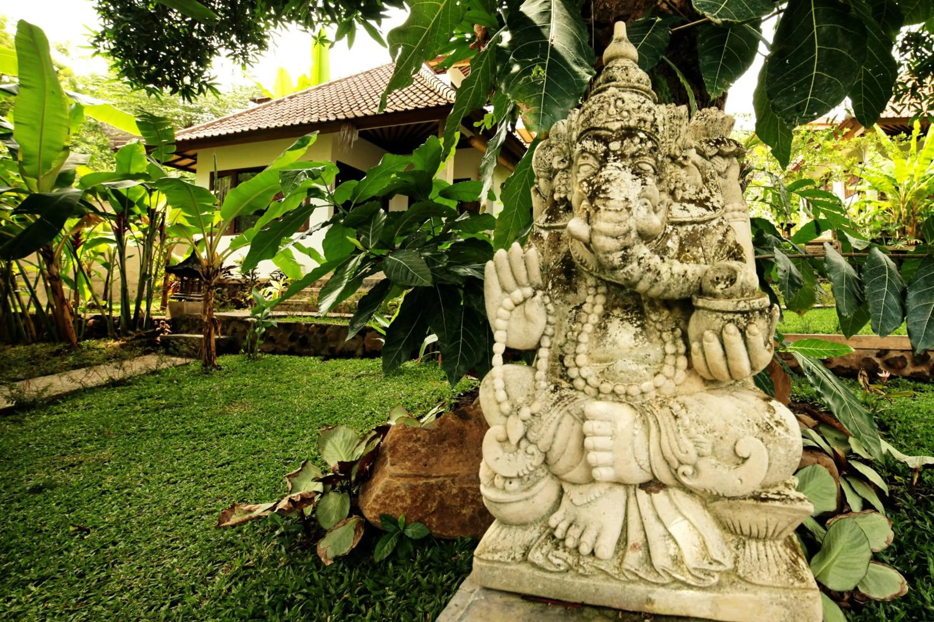 Garden in Bali Dream House