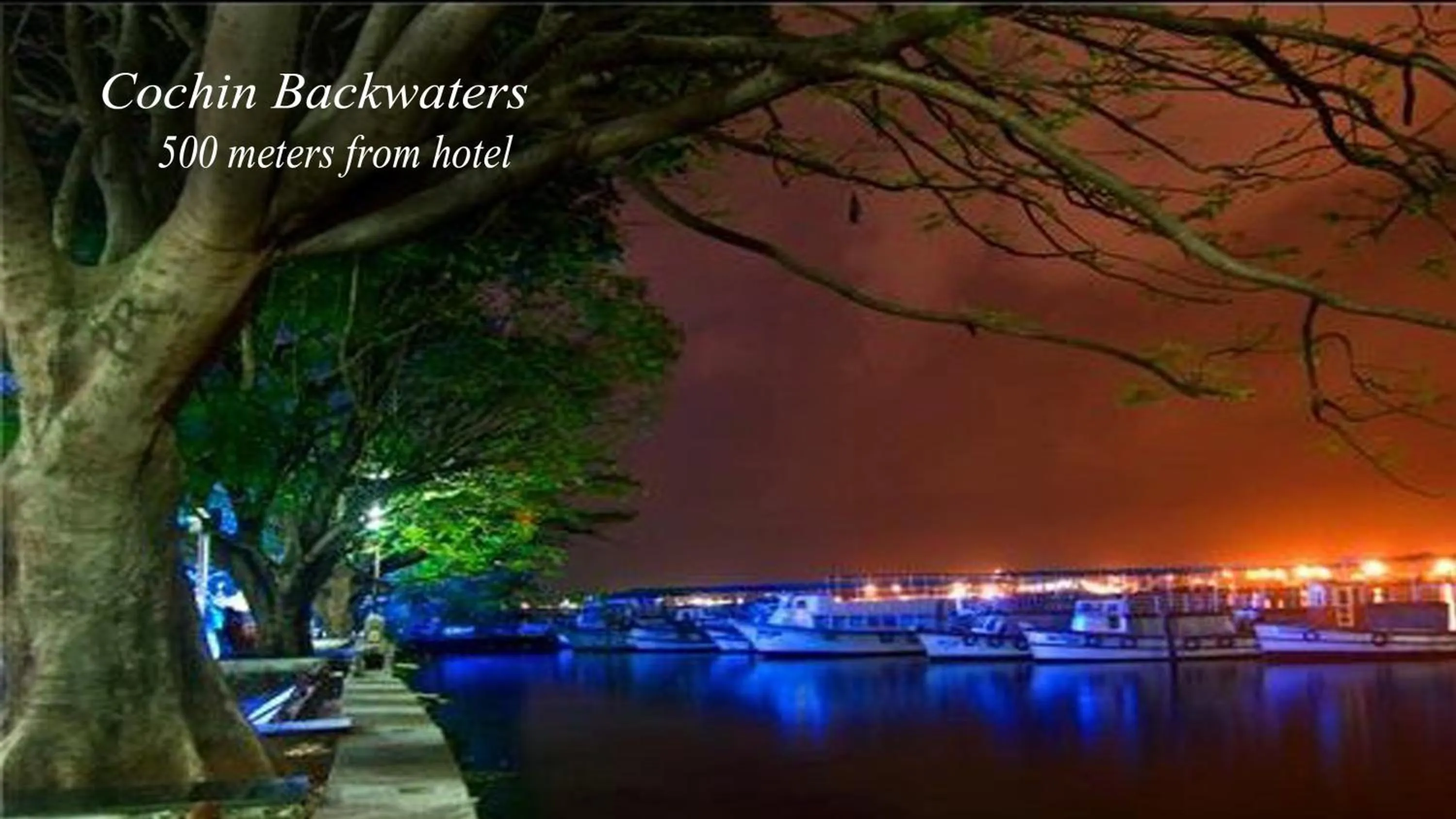 Natural landscape in Hotel Aiswarya