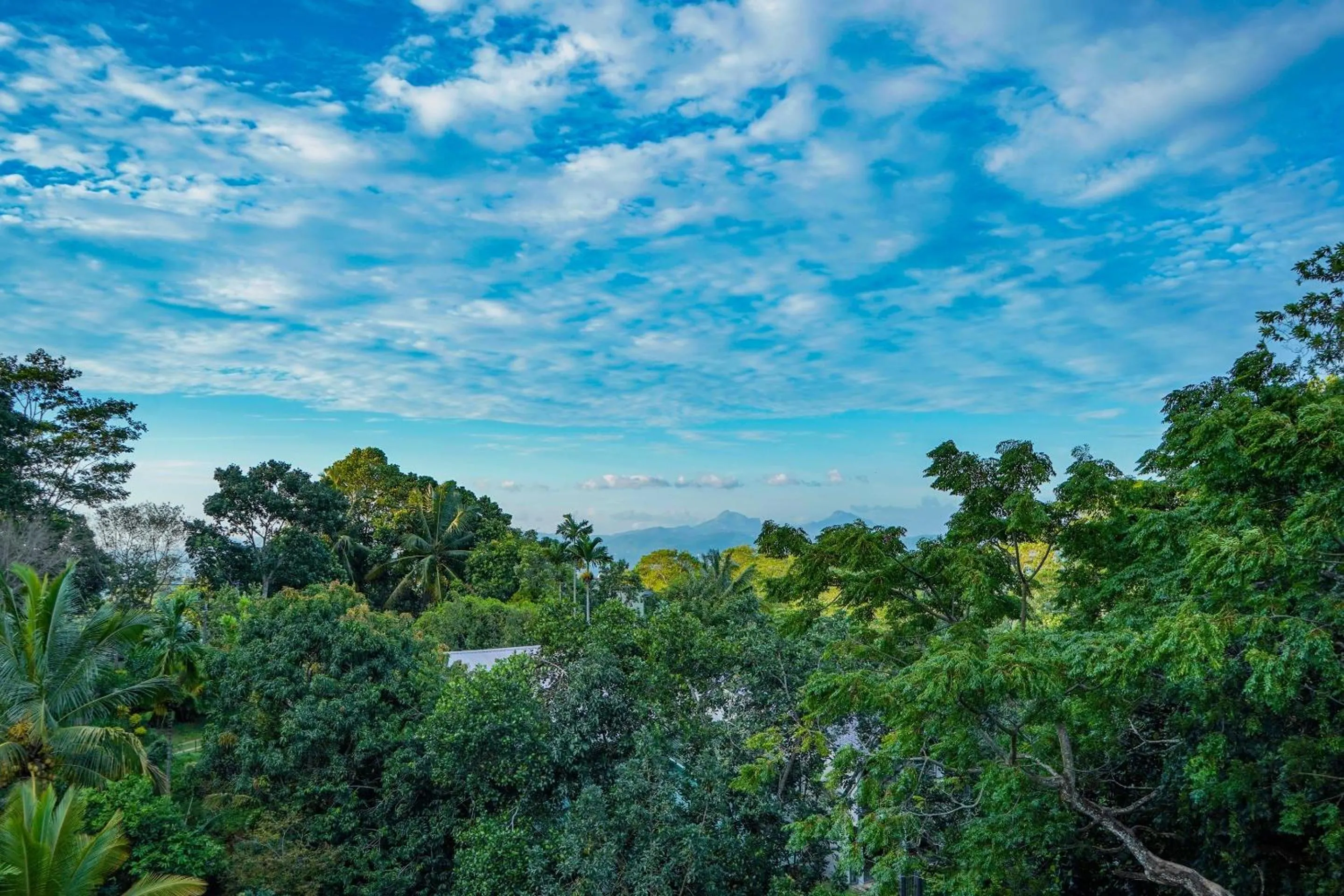 Natural landscape in The Grand Hanthana