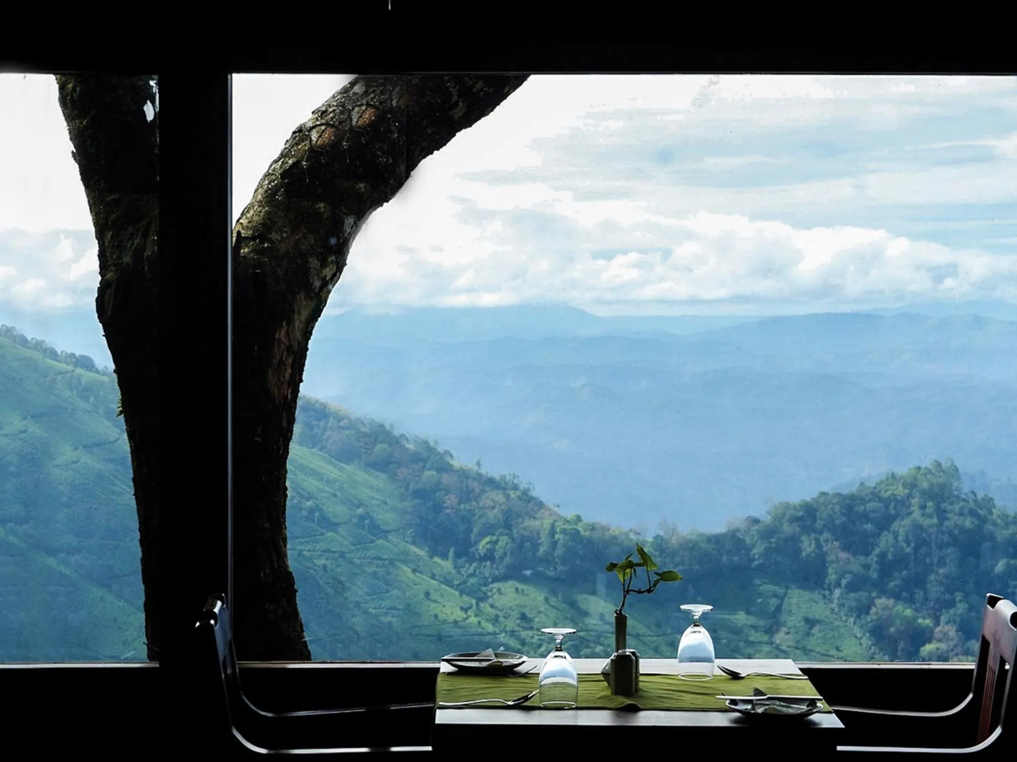 Restaurant/places to eat in Blackberry Hills Munnar Nature Resort & Spa